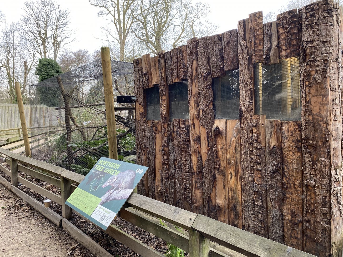 Drayton manor theme park zoo...Northern Tree Shrew enclosure