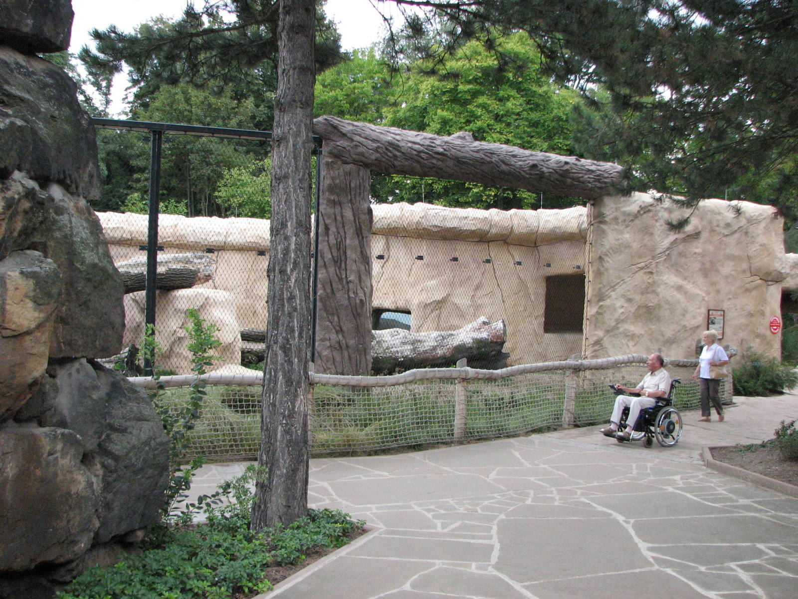 Dresden Zoo 2008 - African Lion exhibit