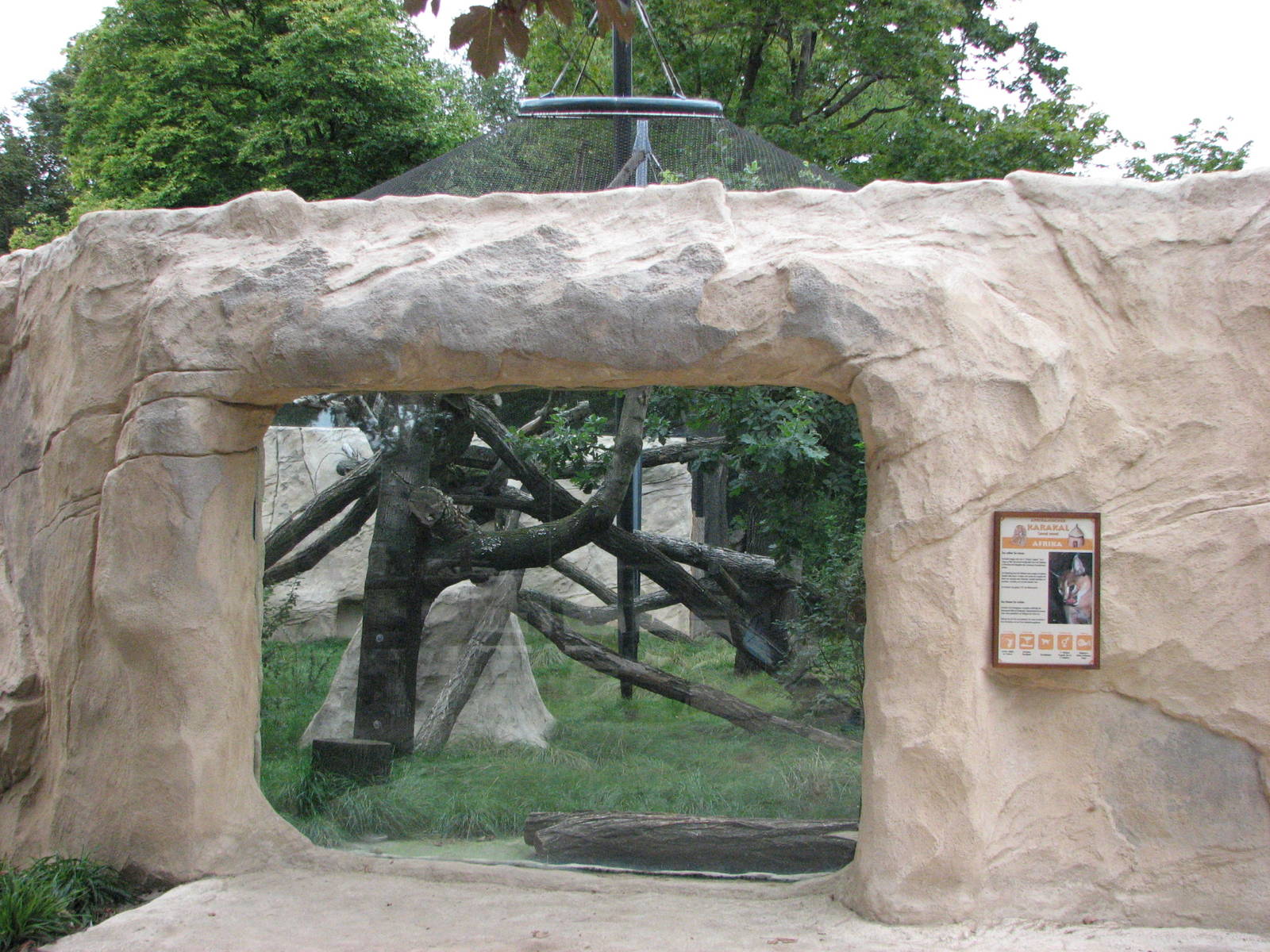 Dresden Zoo 2008 - Caracal exhibit