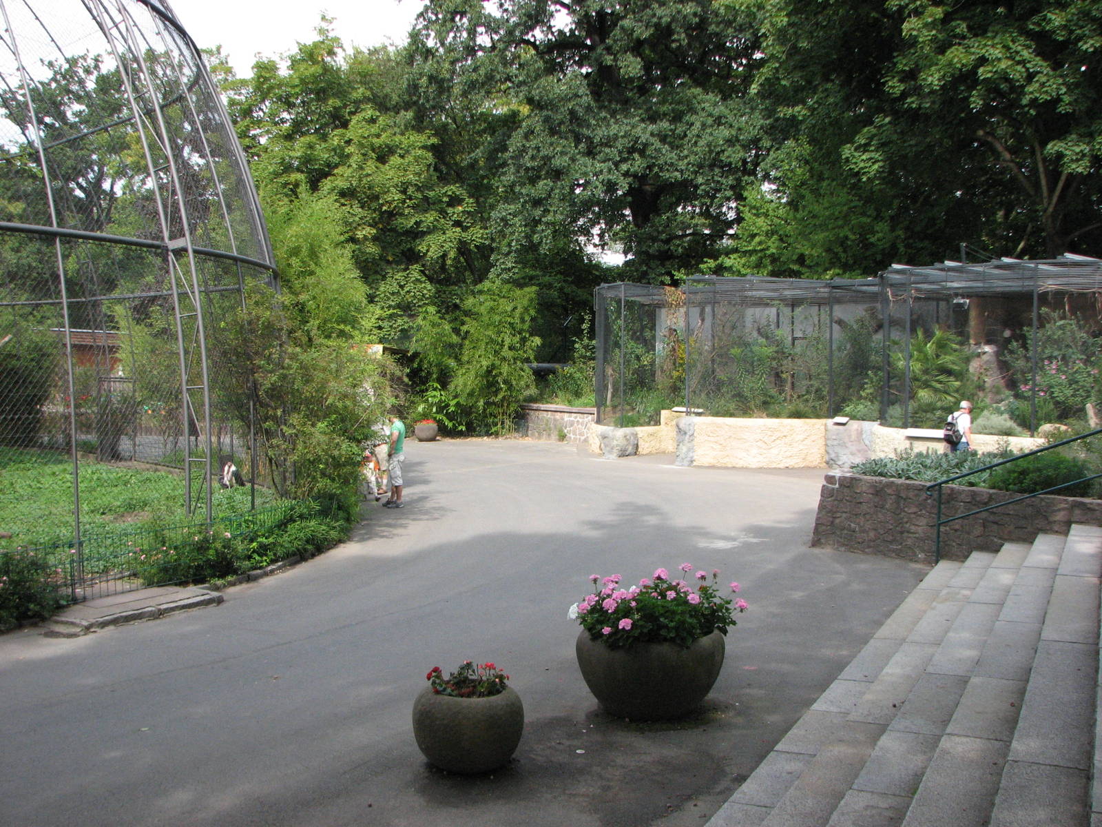 Dresden Zoo 2008 - Fence of the mixed Baboon and Vulture enclosure and then
