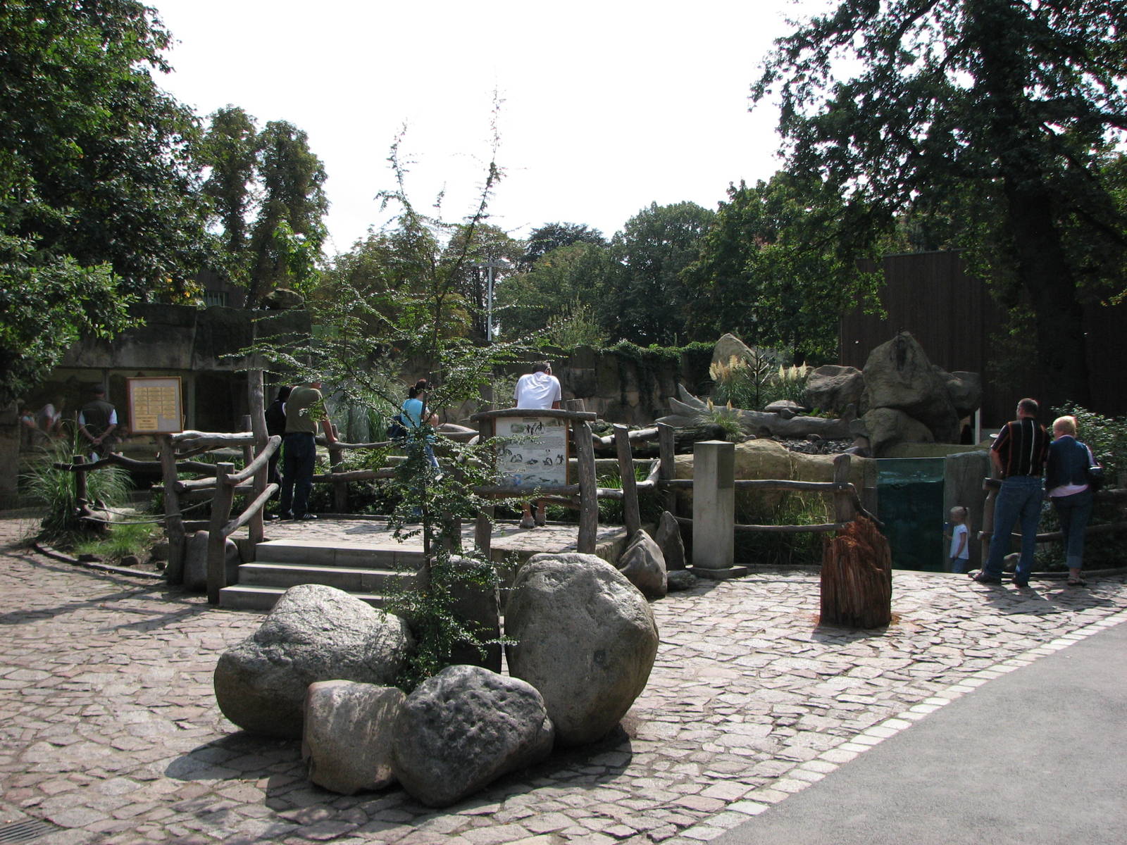 Dresden Zoo 2008 - Front of the Humboldt Penguin exhibit