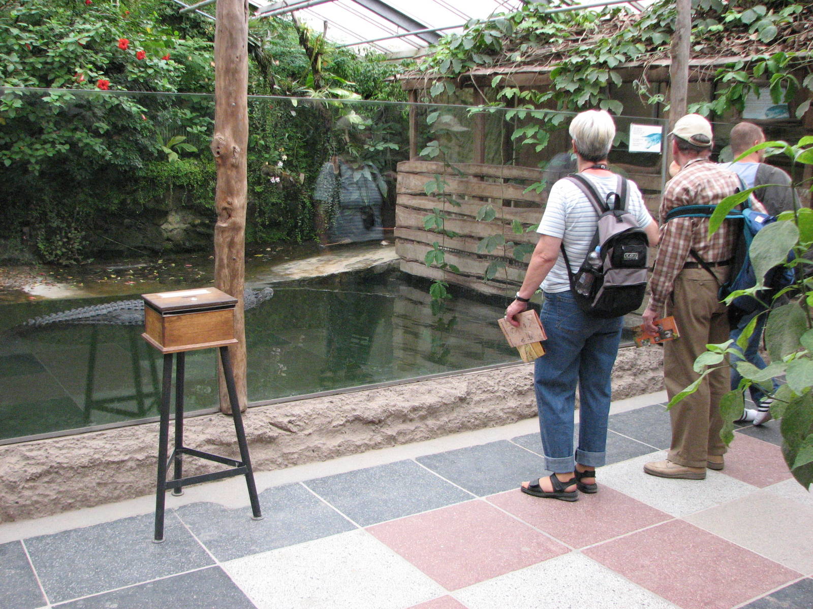 Dresden Zoo 2008 - Front of the Saltwater Crocodile exhibit