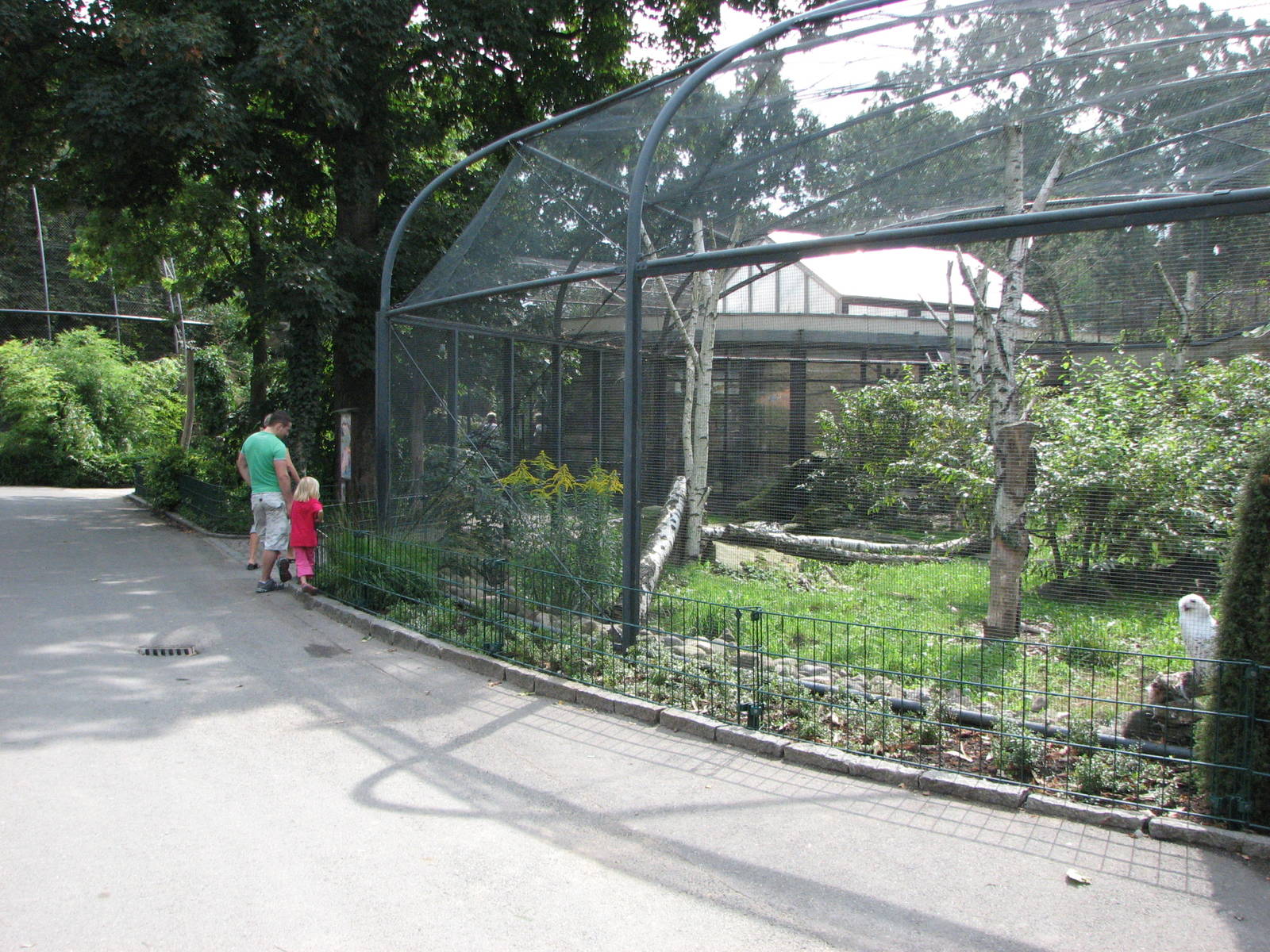 Dresden Zoo 2008 - Front of the Snowy Owl