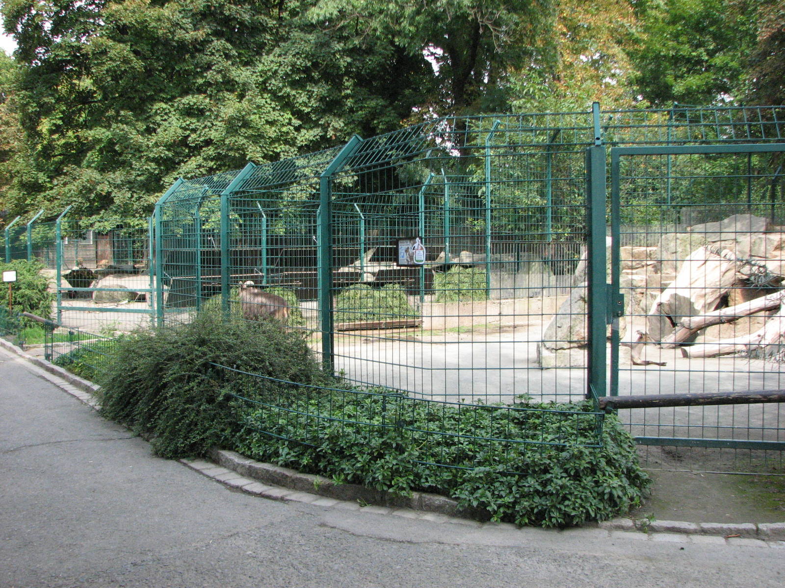 Dresden Zoo 2008 - Goat enclosures