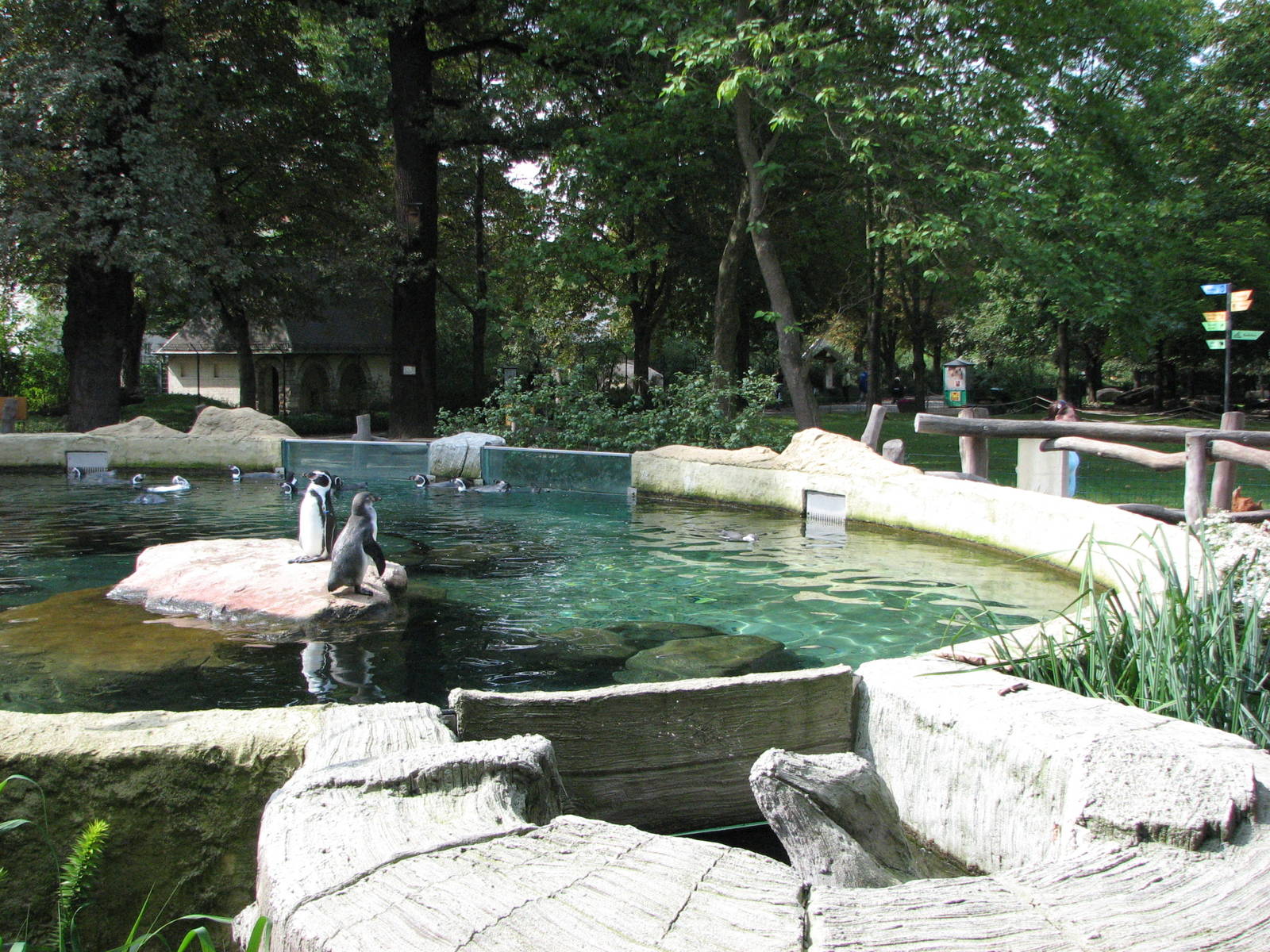 Dresden Zoo 2008 - Humboldt Penguin exhibit and Cheetah enclosure in the ba