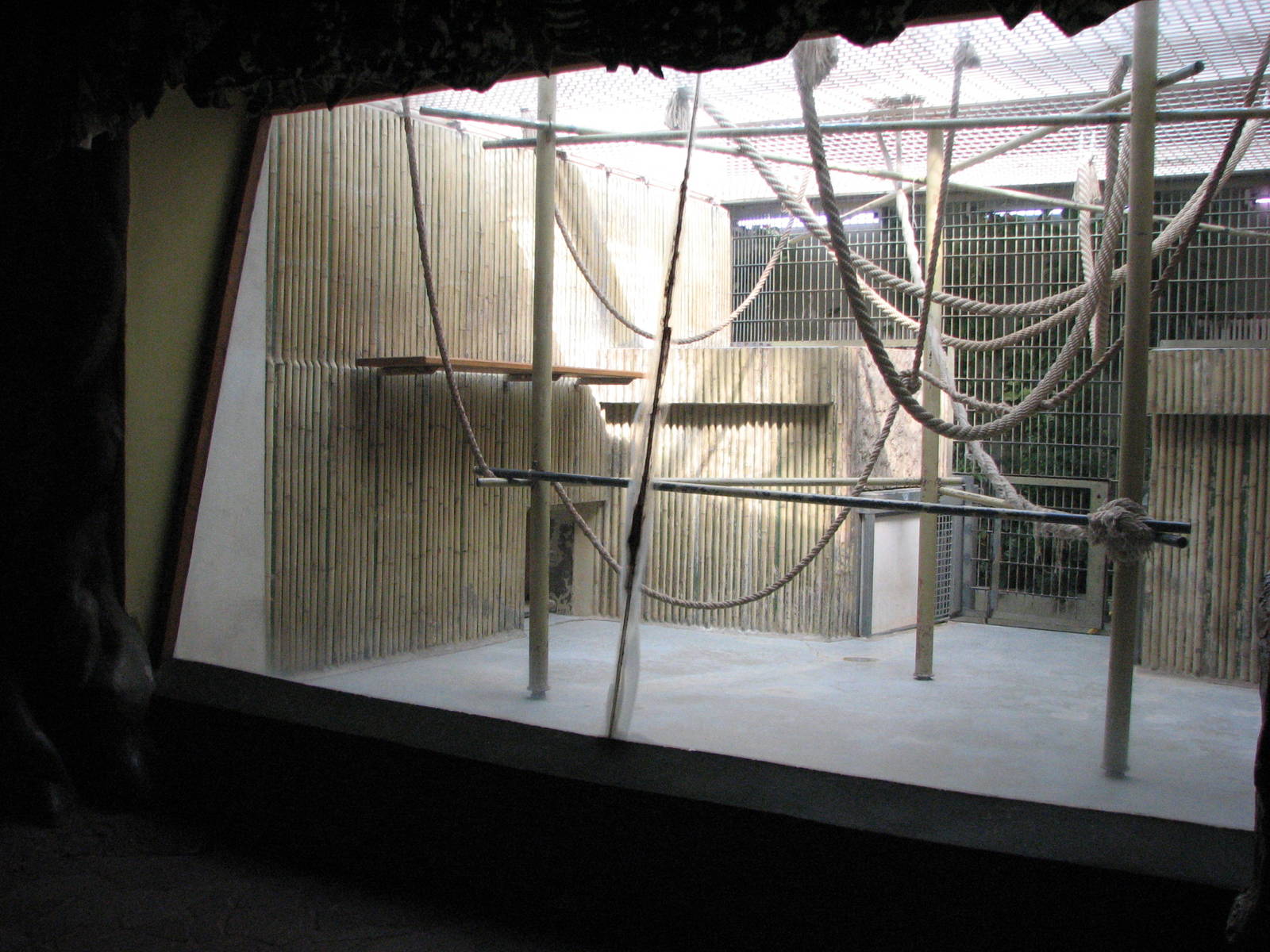 Dresden Zoo 2008 - Indoor Ape exhibit