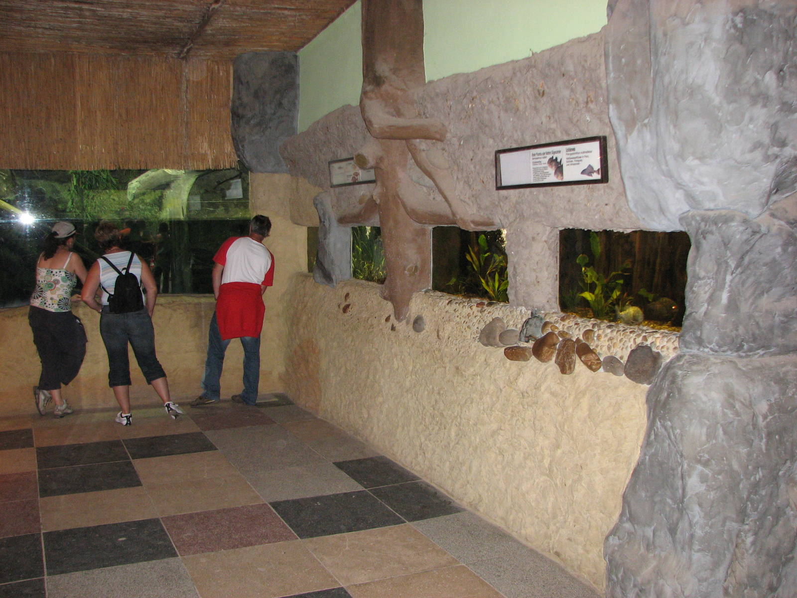 Dresden Zoo 2008 - Inside the Aquarium