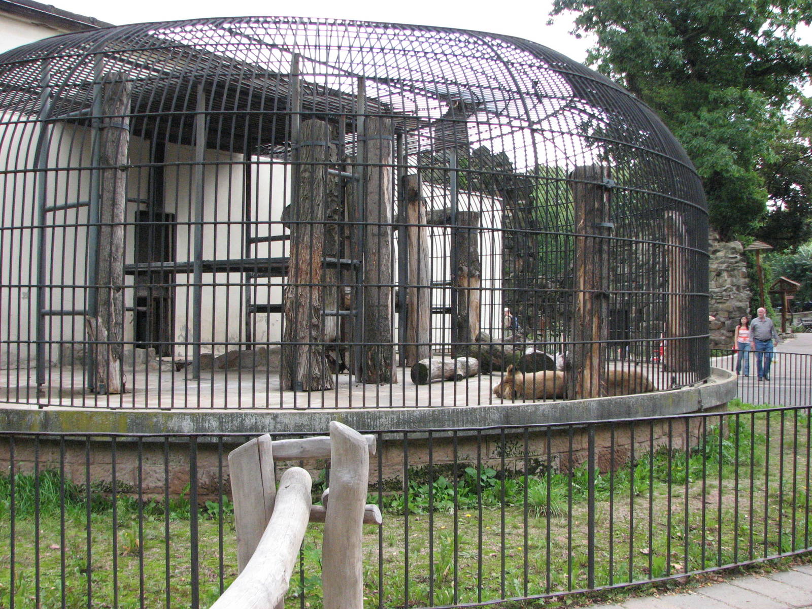 Dresden Zoo 2008 - Left side of the old Lion cage
