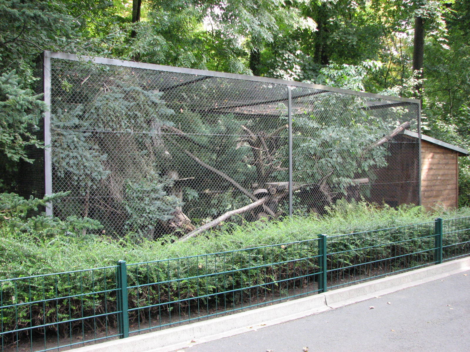 Dresden Zoo 2008 - Lynx enclosure?