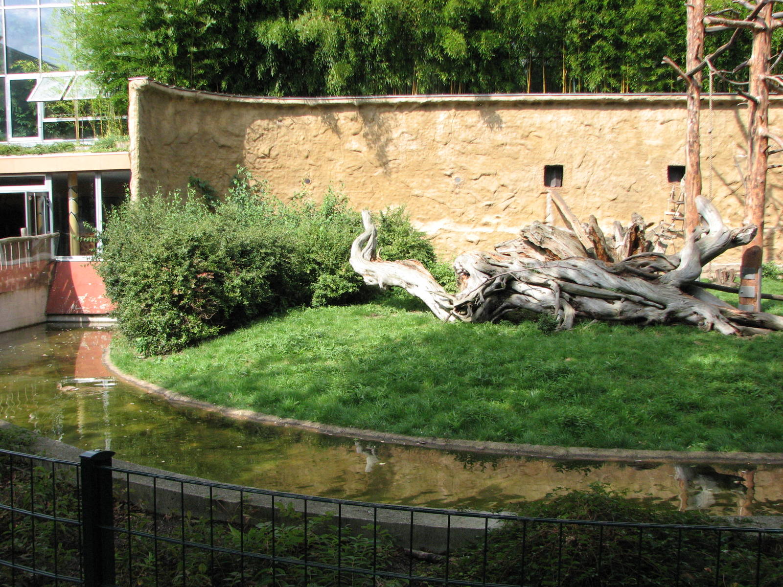 Dresden Zoo 2008 - Moat and left side of the Mandrill exhibit in the Africa