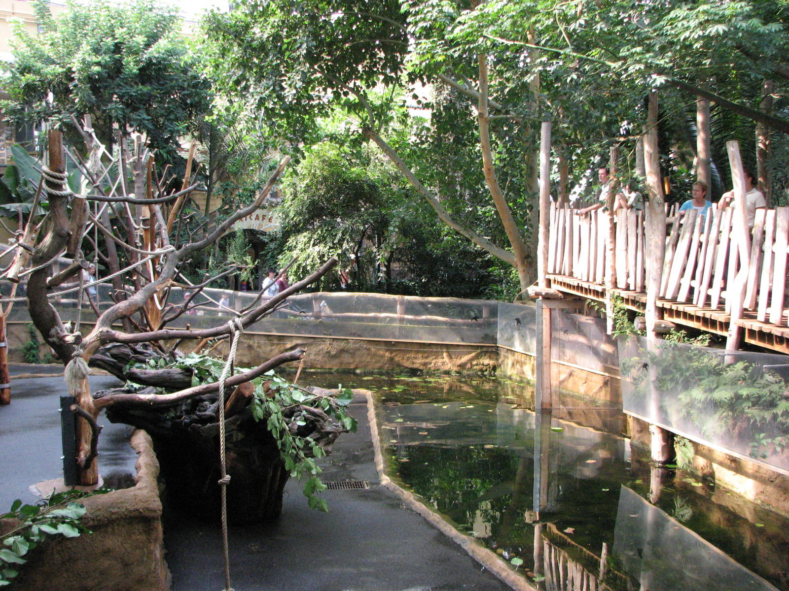 Dresden Zoo 2008 - Moat around the Mandrill exhibit inside the Africa House