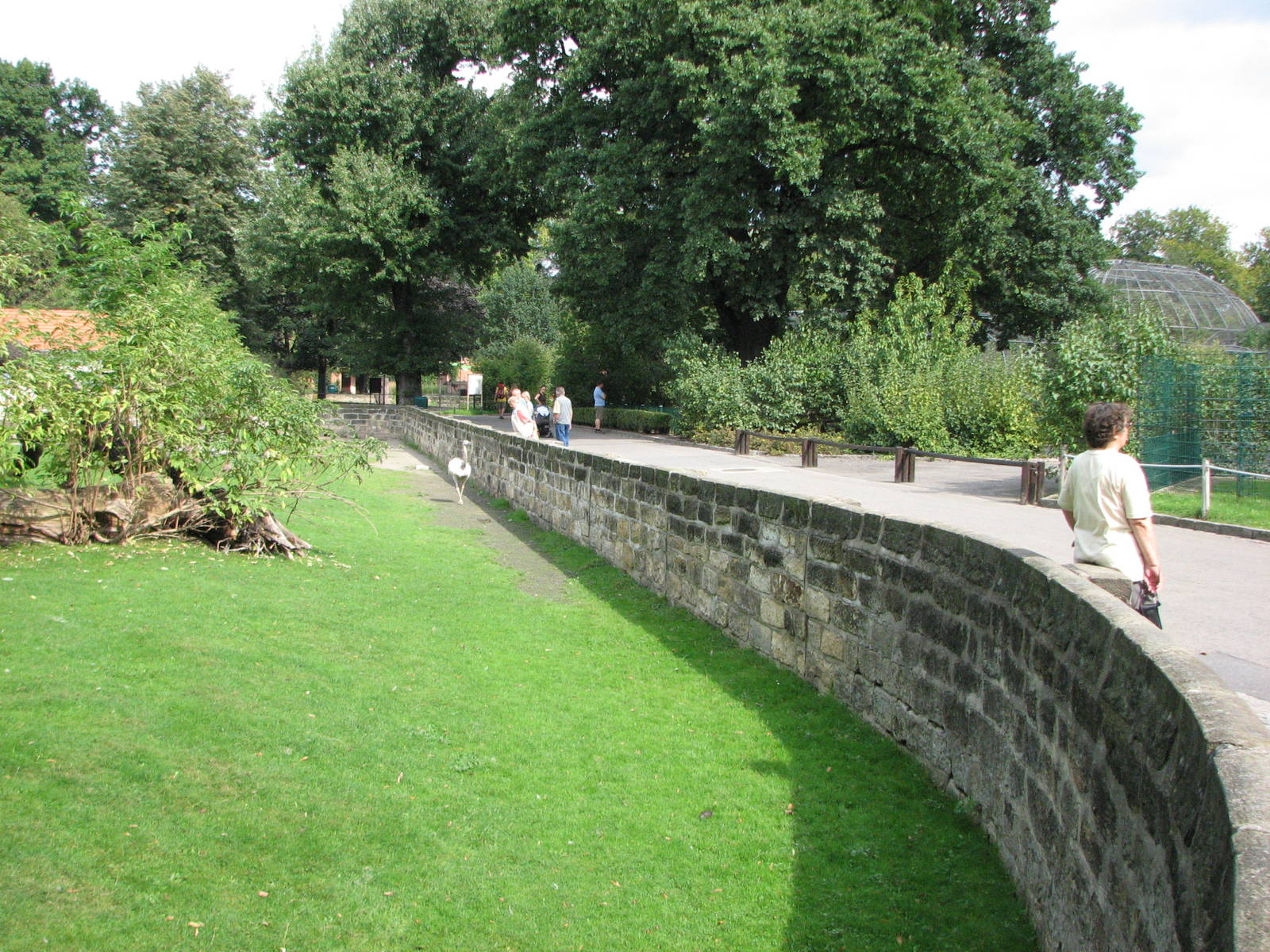 Dresden Zoo 2008 - Nandu exhibit
