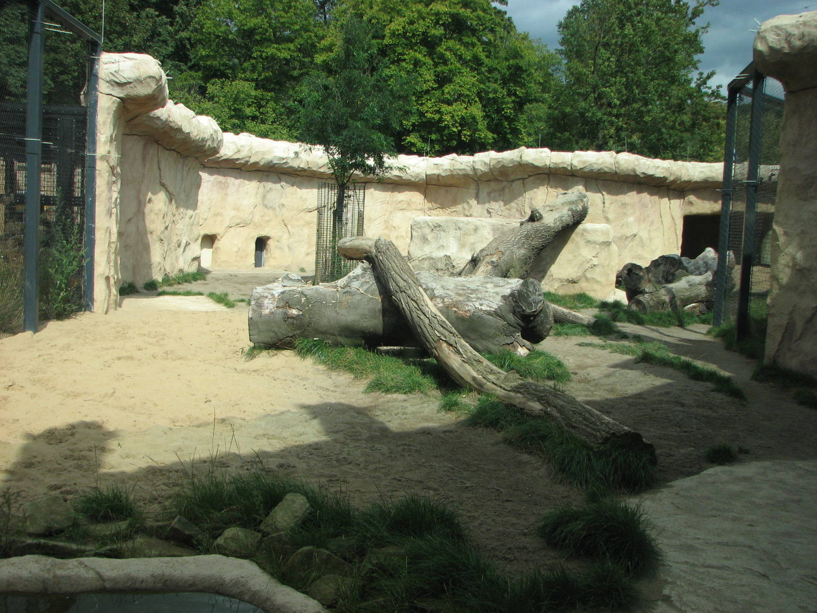 Dresden Zoo 2008 - New lion exhibit?