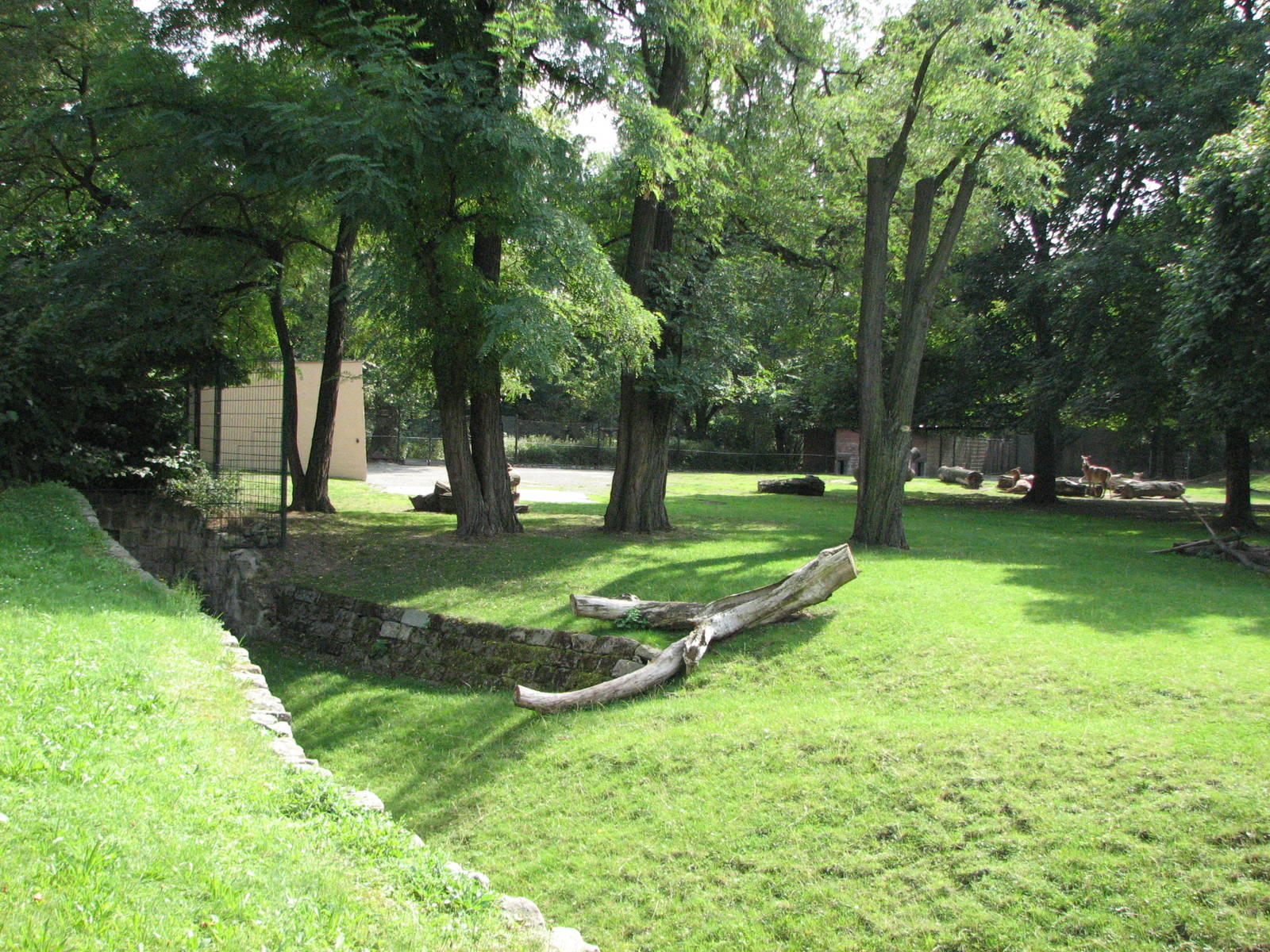 Dresden Zoo 2008 - Nilgai exhibit?