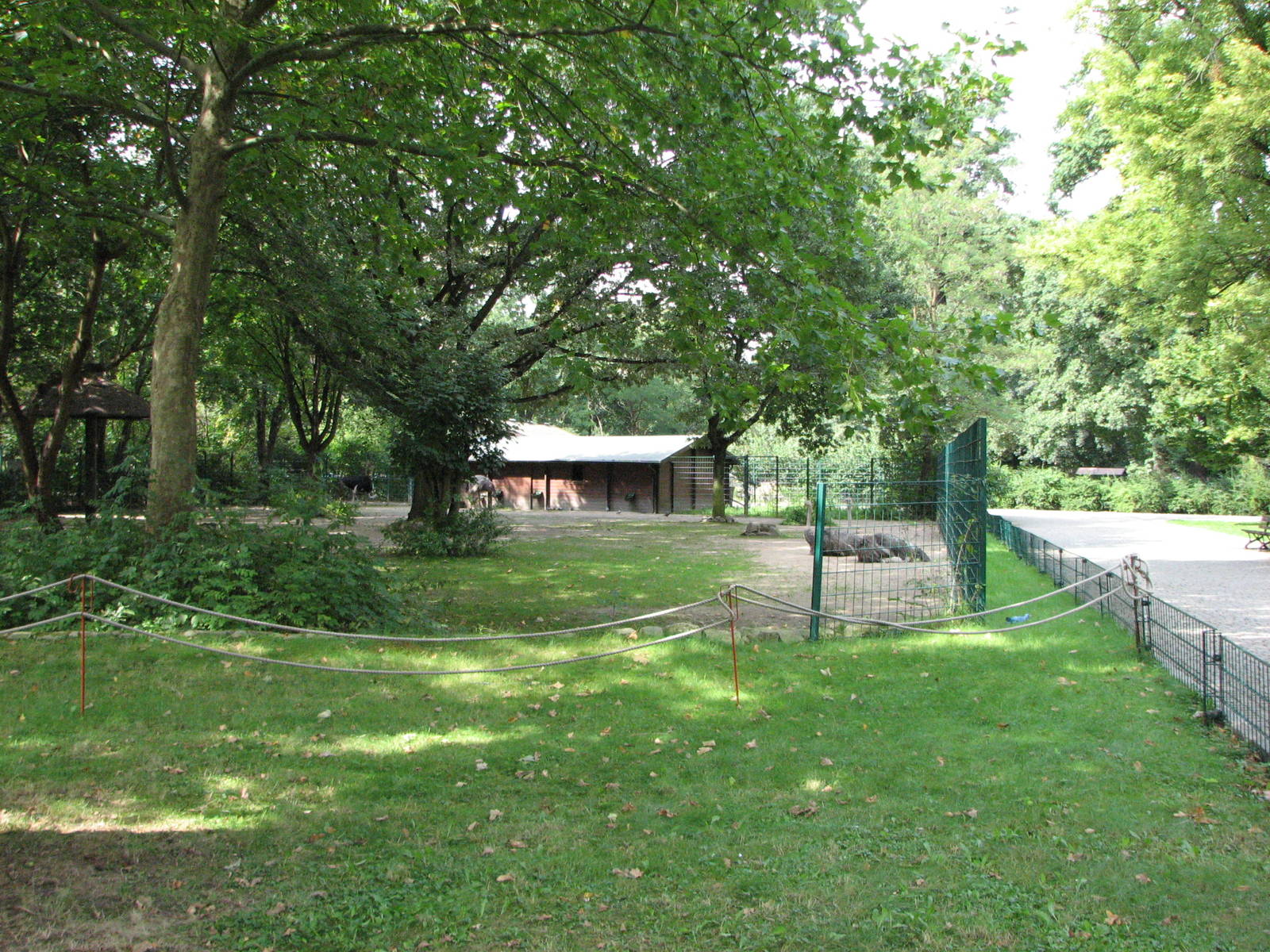 Dresden Zoo 2008 - Ostrich enclosure