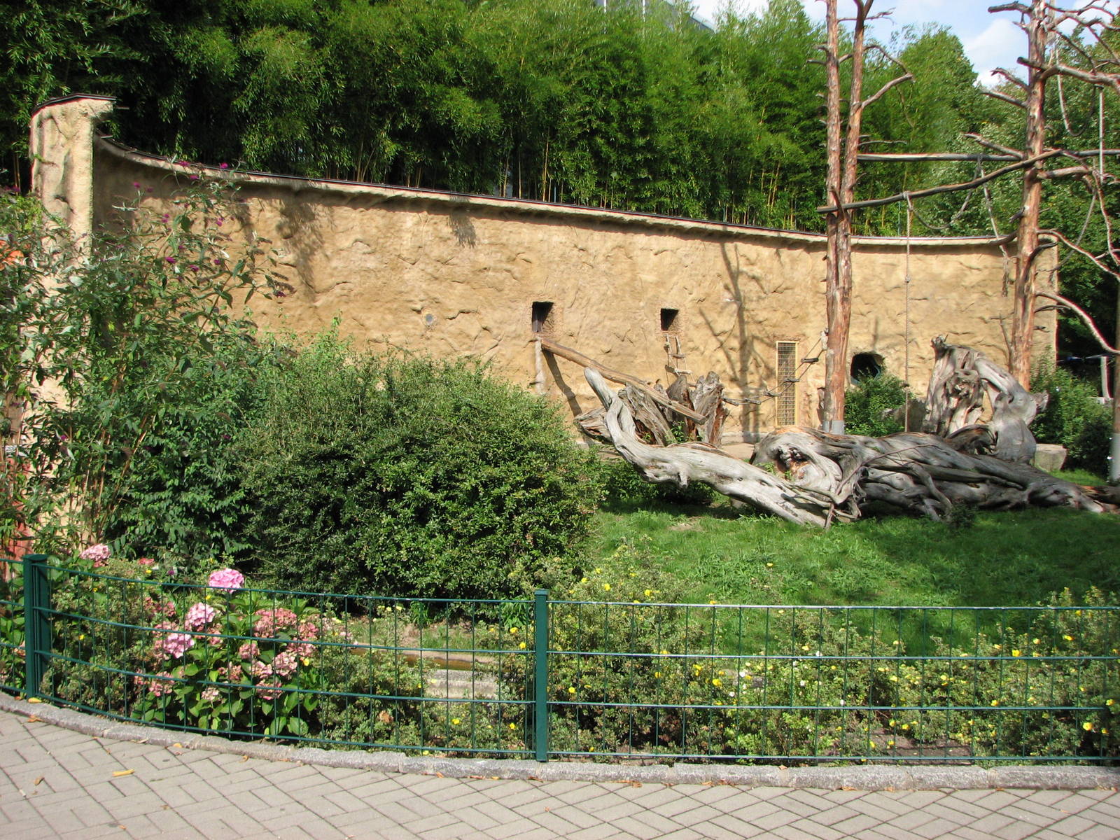 Dresden Zoo 2008 - Outdoor Mandrill exhibit in the Africa House
