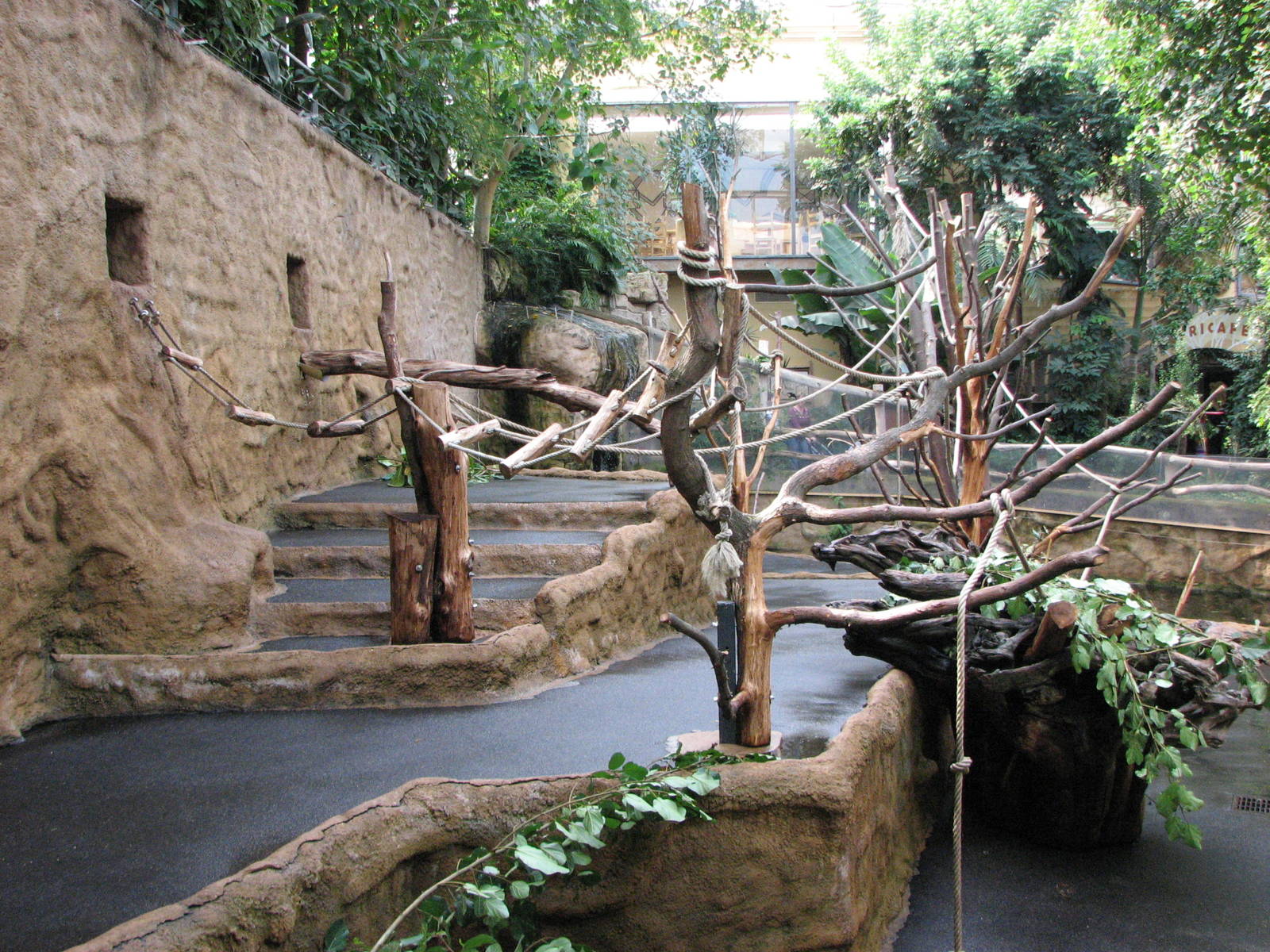 Dresden Zoo 2008 - Side view of the Mandrill exhibit inside the Africa Hous
