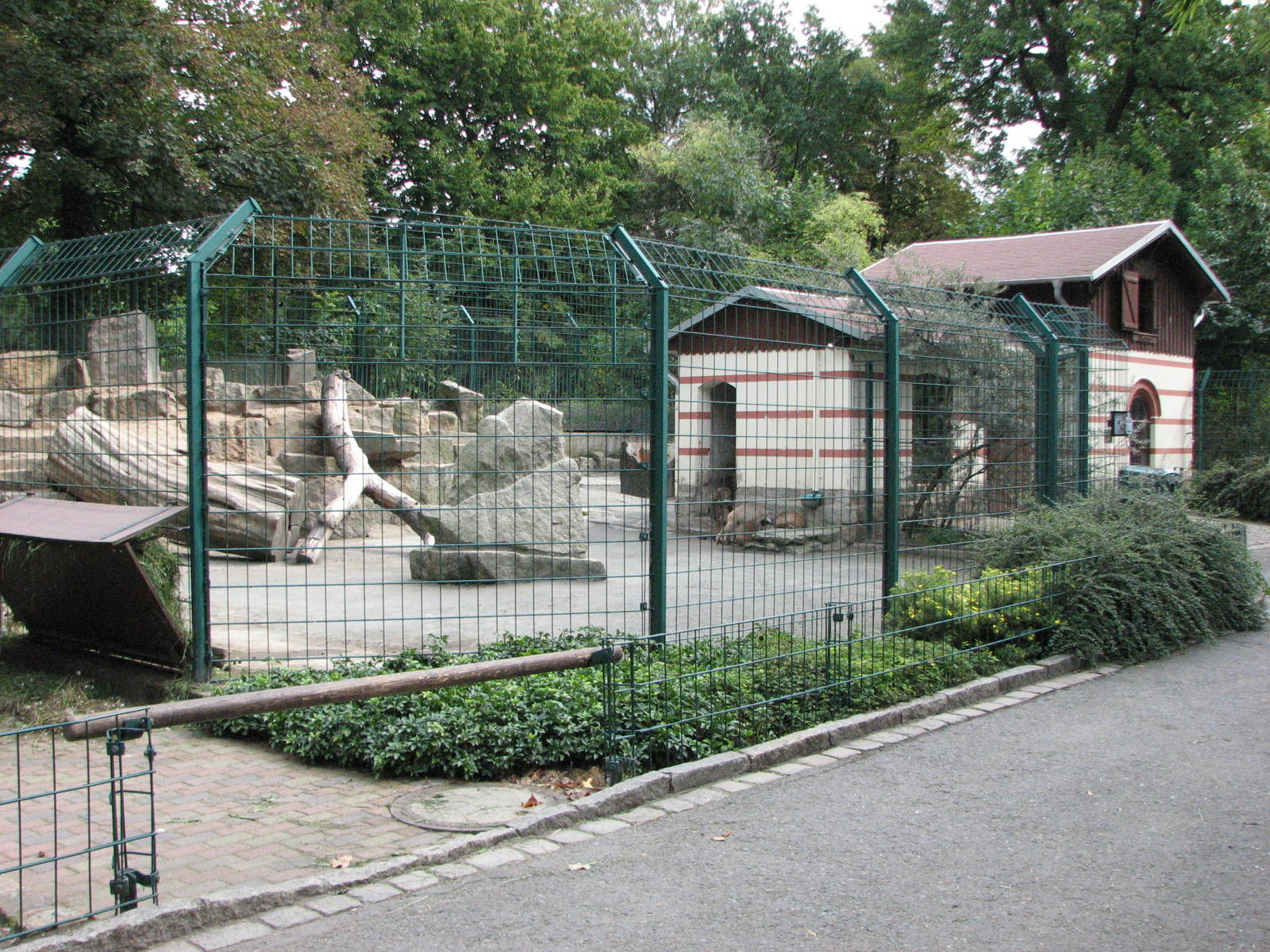 Dresden Zoo 2008 - West Himalayan Tahr enclosure