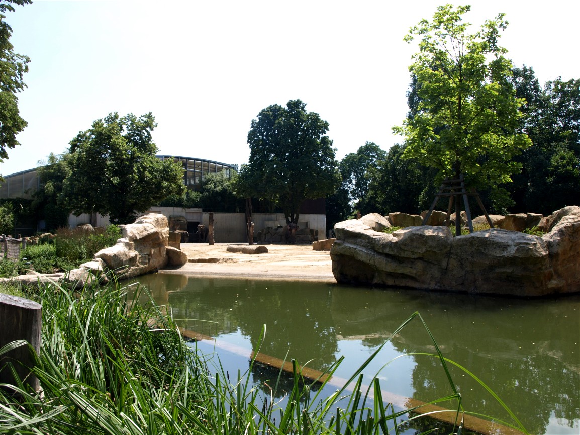 Dresden Zoo - Elephant enclosure