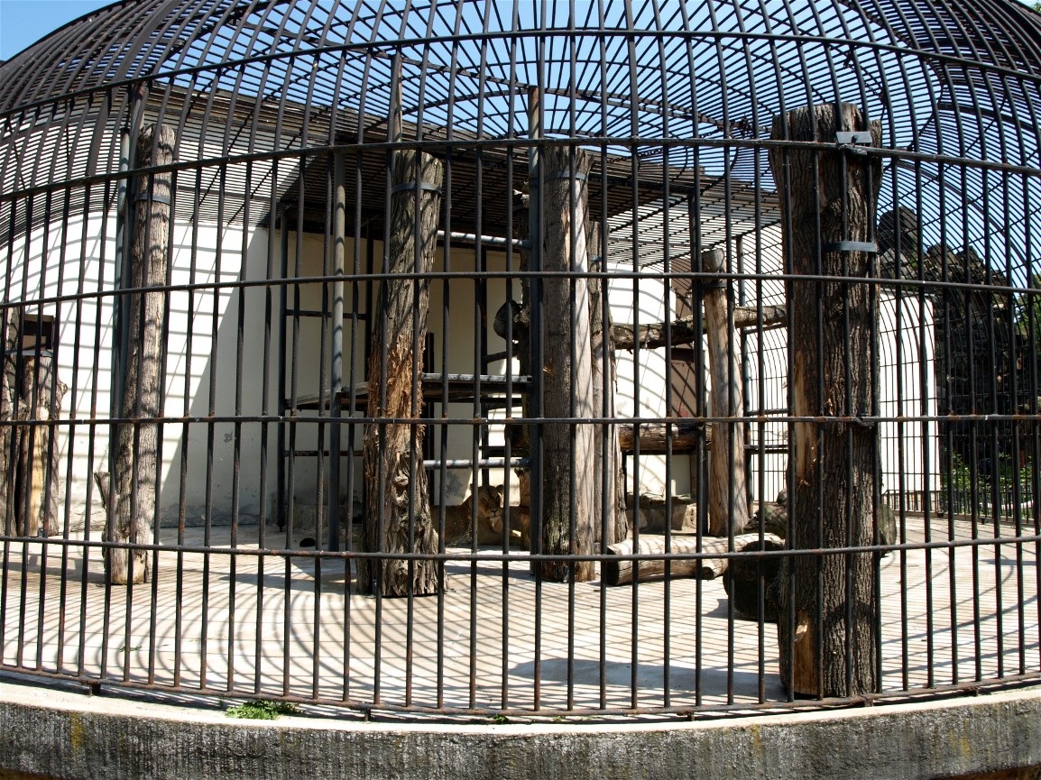 Dresden Zoo - Lion cage