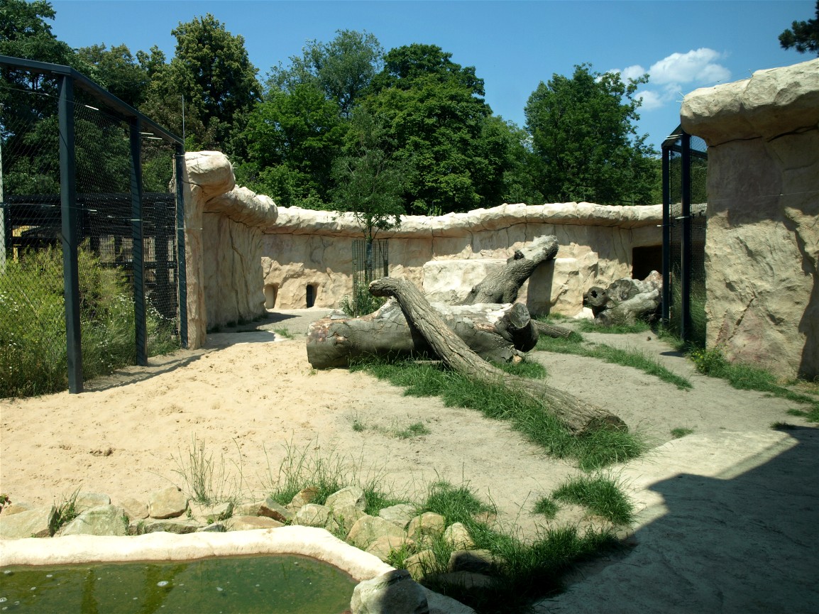 Dresden Zoo - Lion exhibit