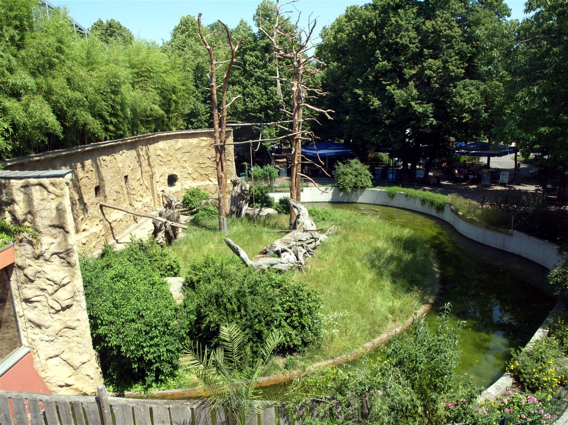 Dresden Zoo - Mandrill enclosure