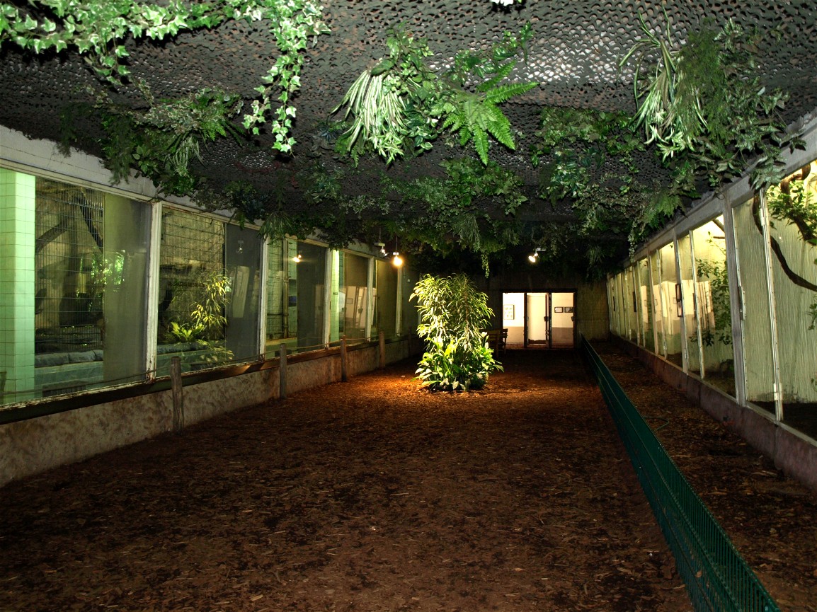 Dresden Zoo - Monkey House