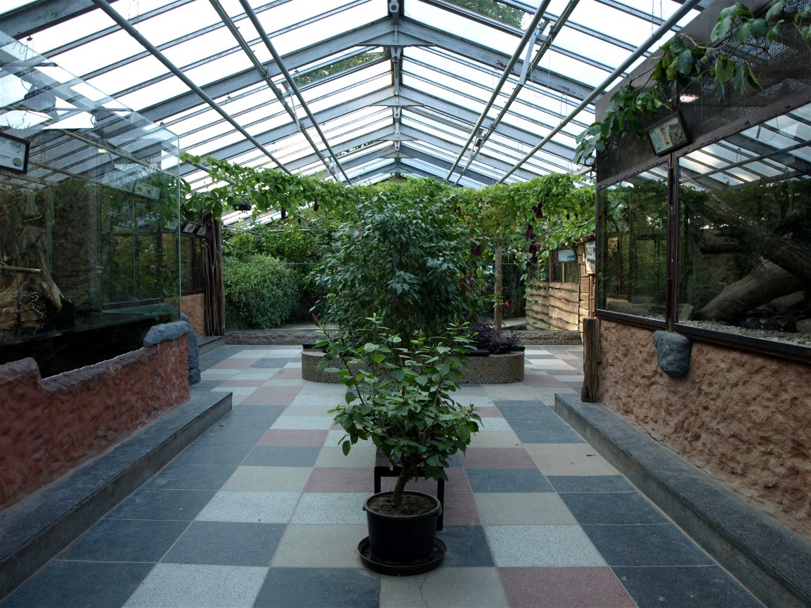 Dresden Zoo - Reptile house
