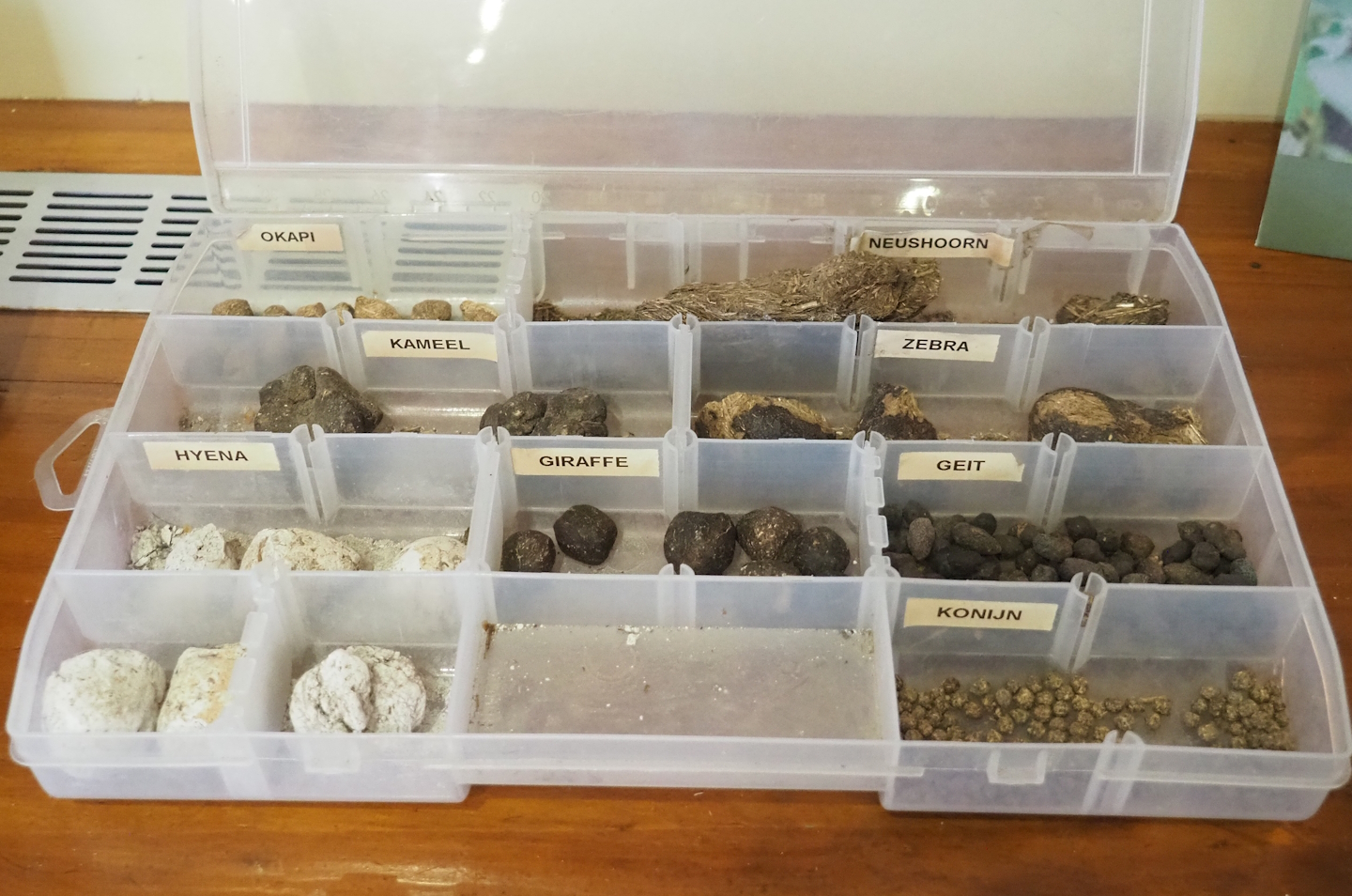 Dried poop samples in education building, 2023-08-15