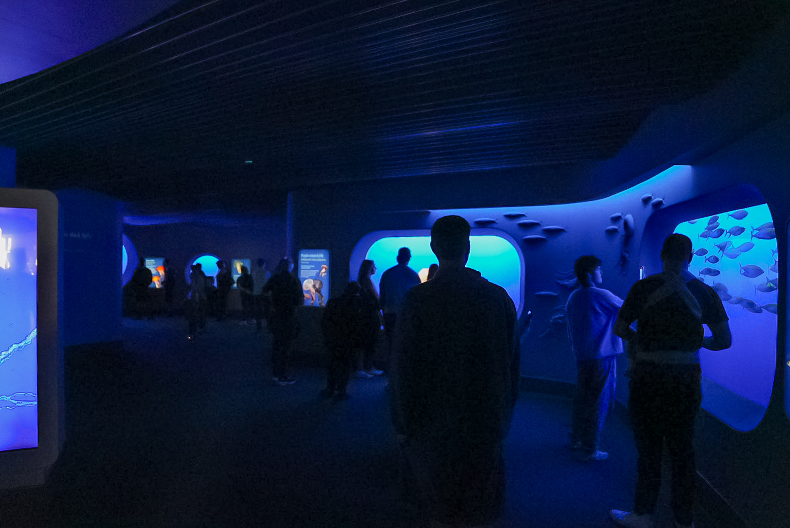 "Drifters Gallery" Entrance (Open Sea Gallery)