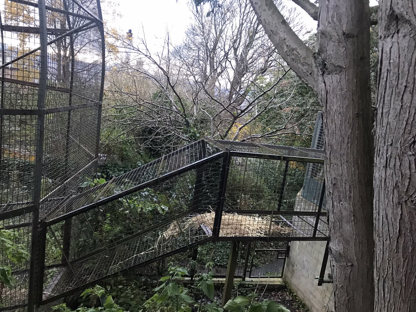Drill access tunnel to former aviary