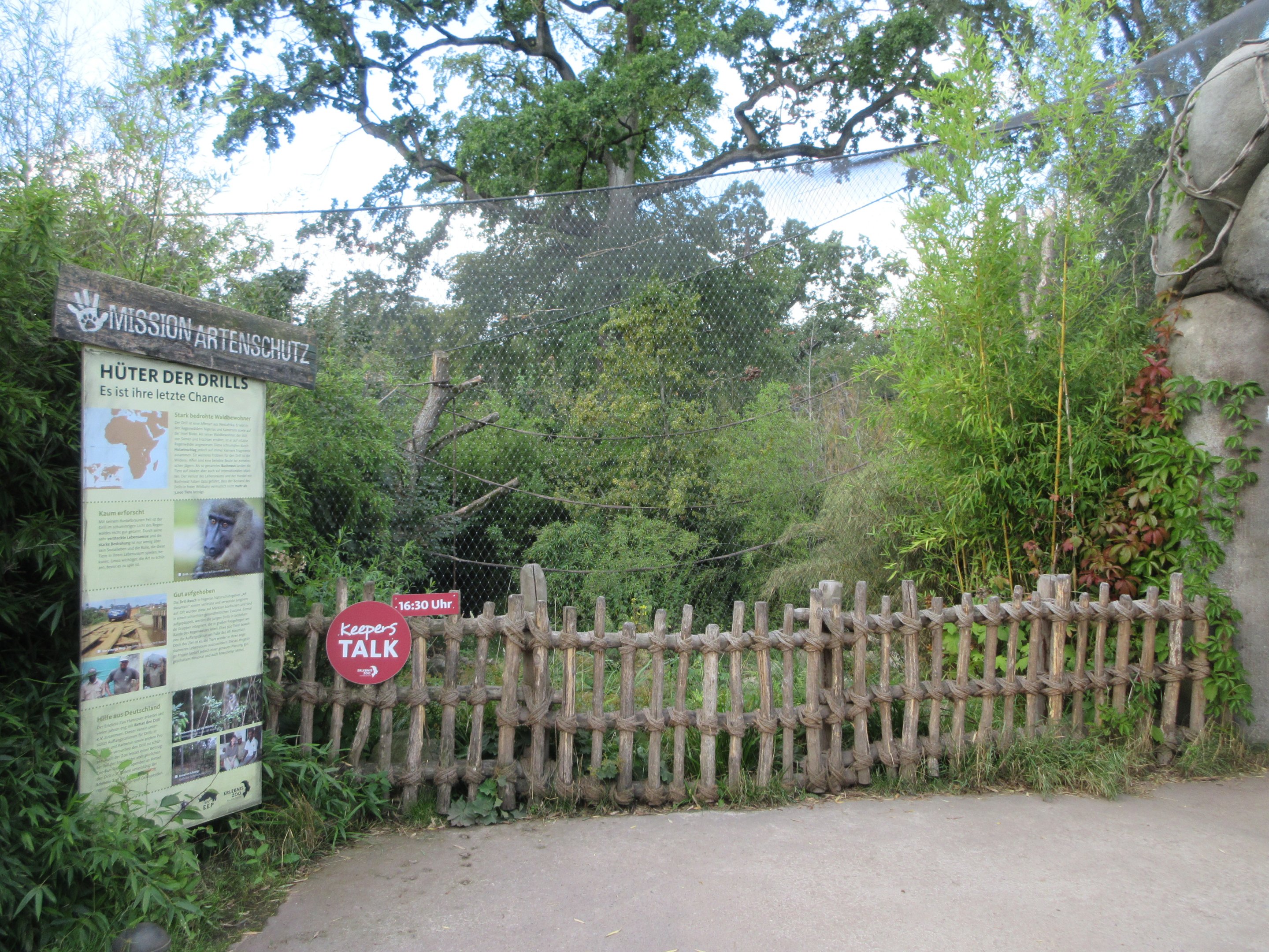 Drill/De Brazza's Monkey Exhibit