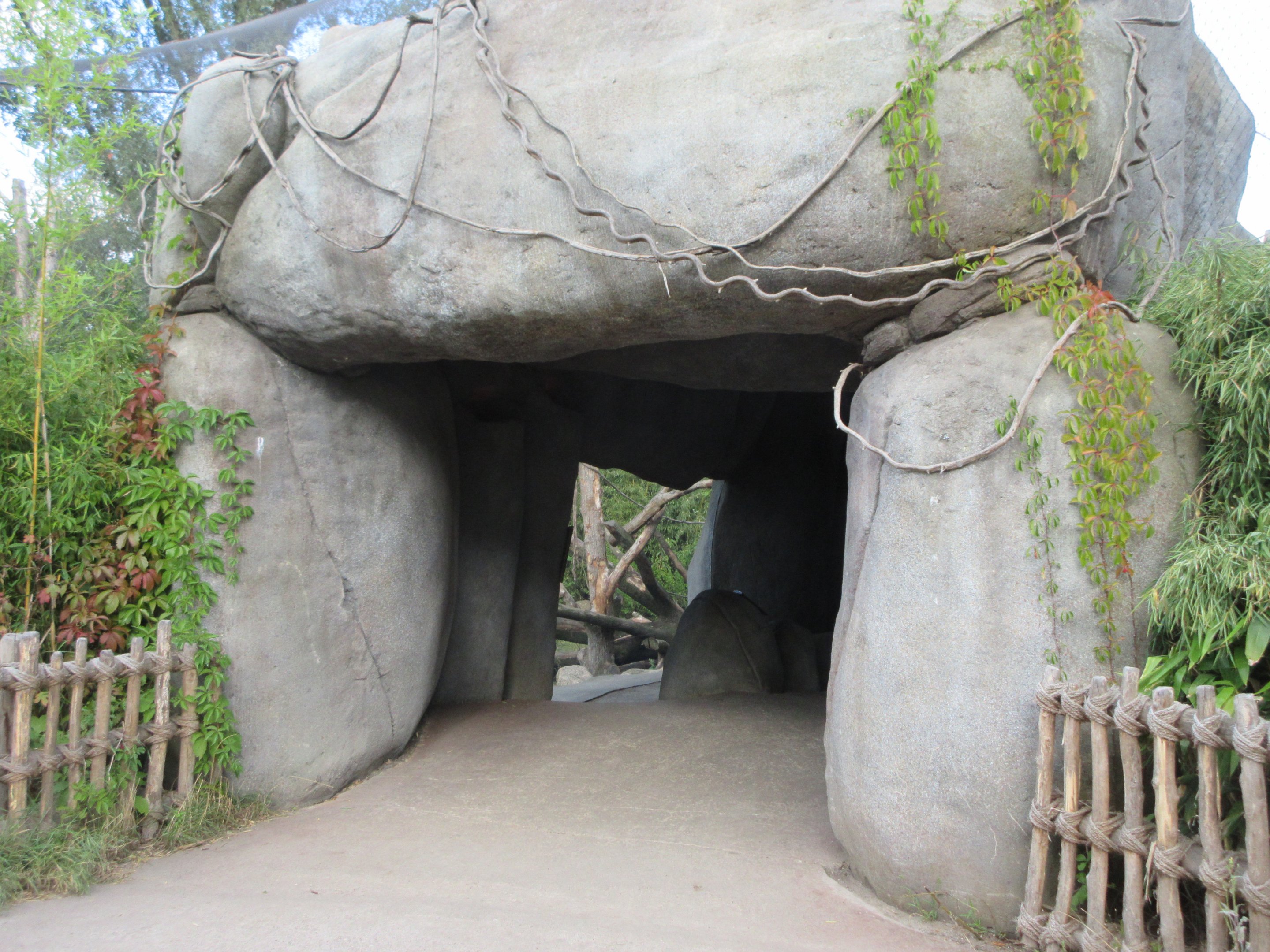 Drill/De Brazza's Monkey Exhibit