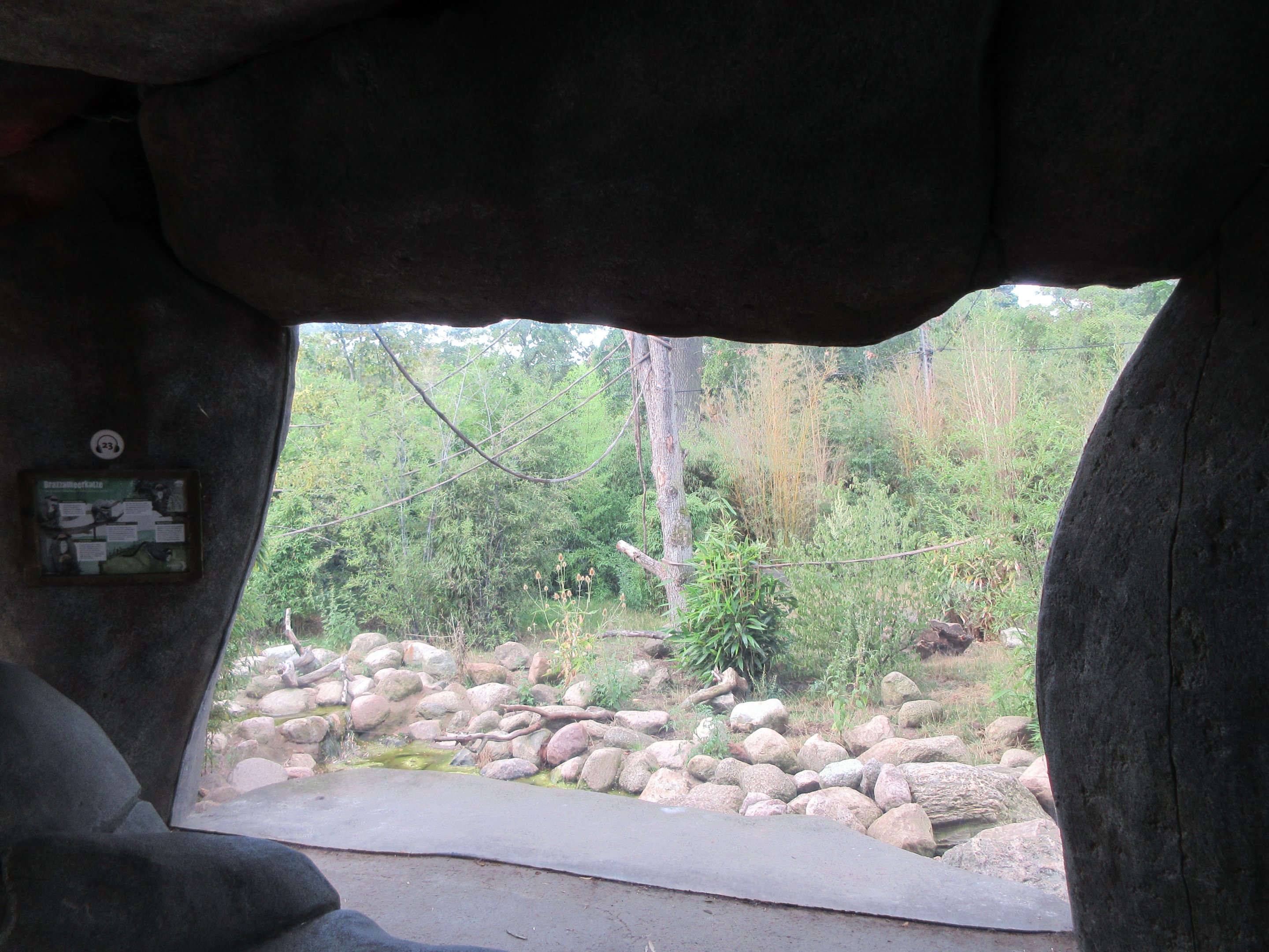 Drill/De Brazza's Monkey Exhibit