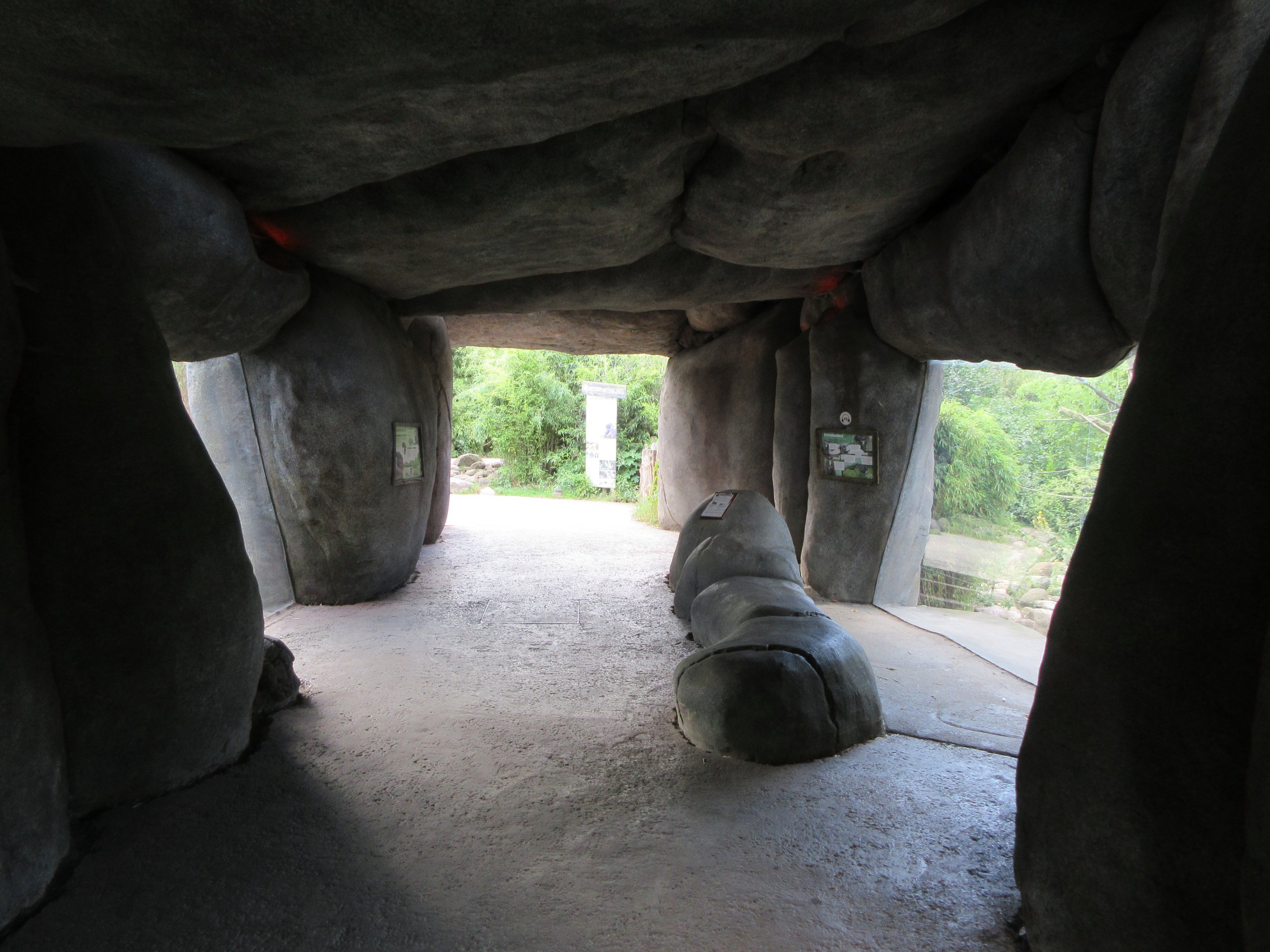 Drill/De Brazza's Monkey Exhibit