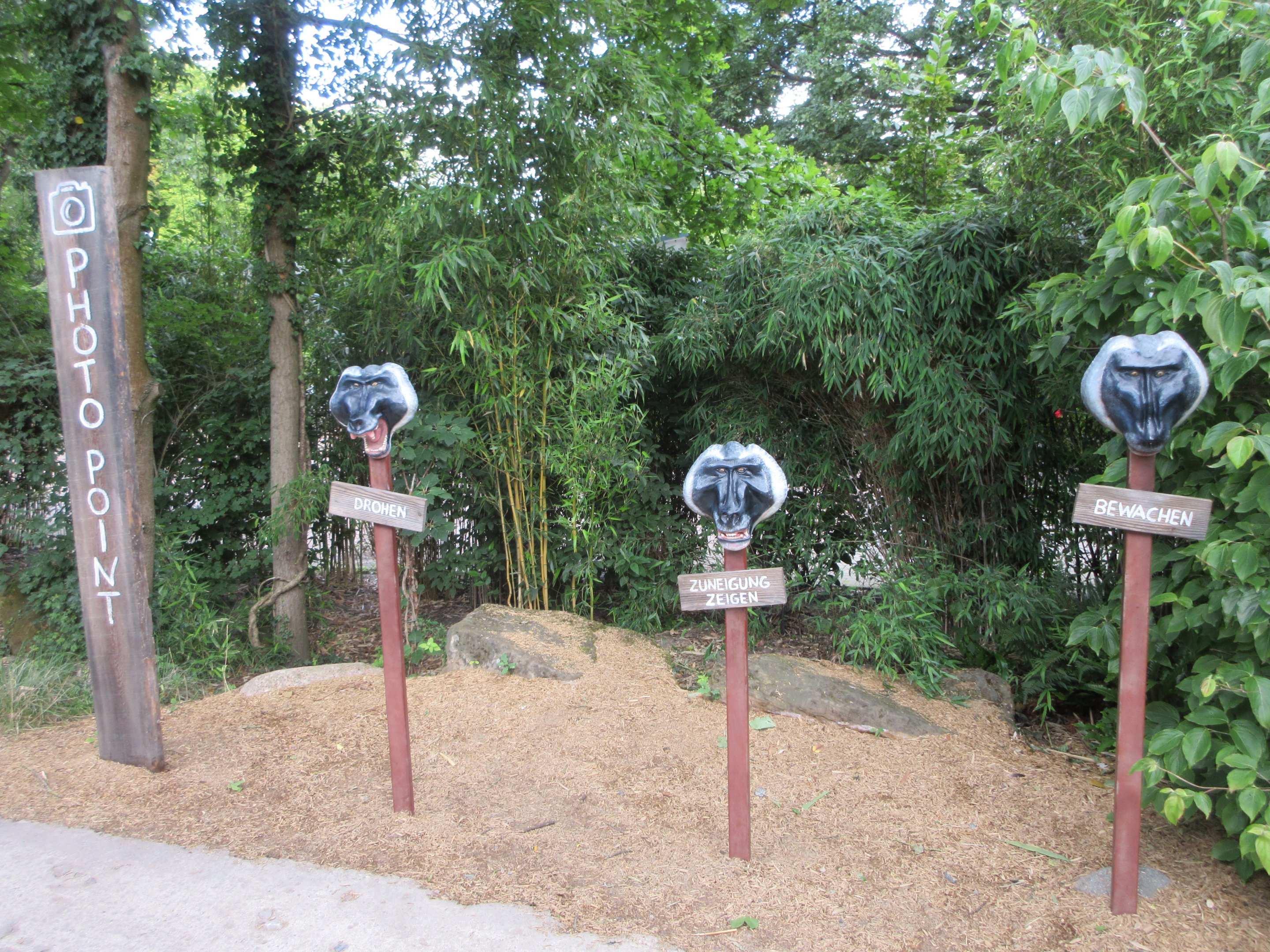 Drill/De Brazza's Monkey Exhibit