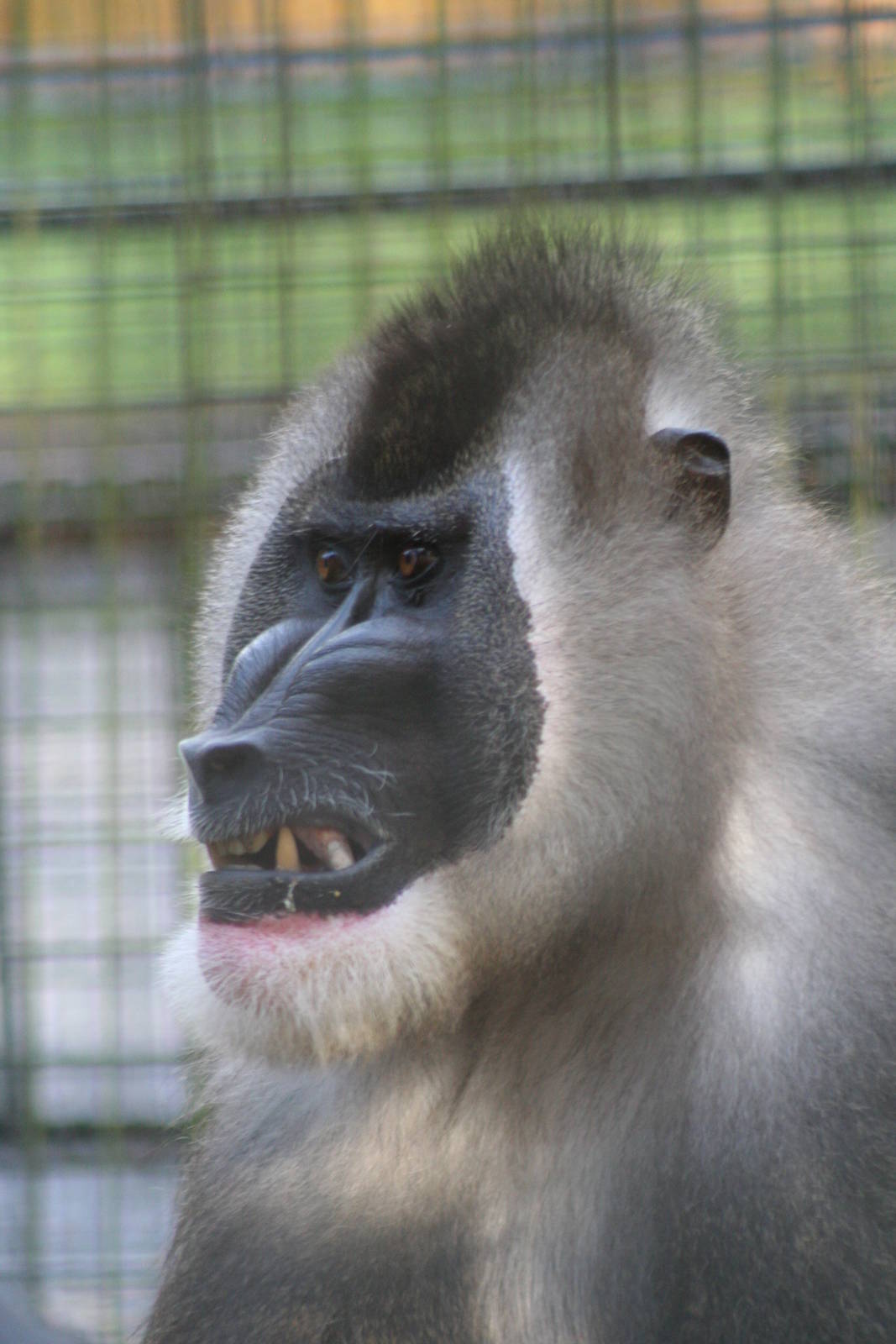 Drill @ Edinburgh; 19.10.2014