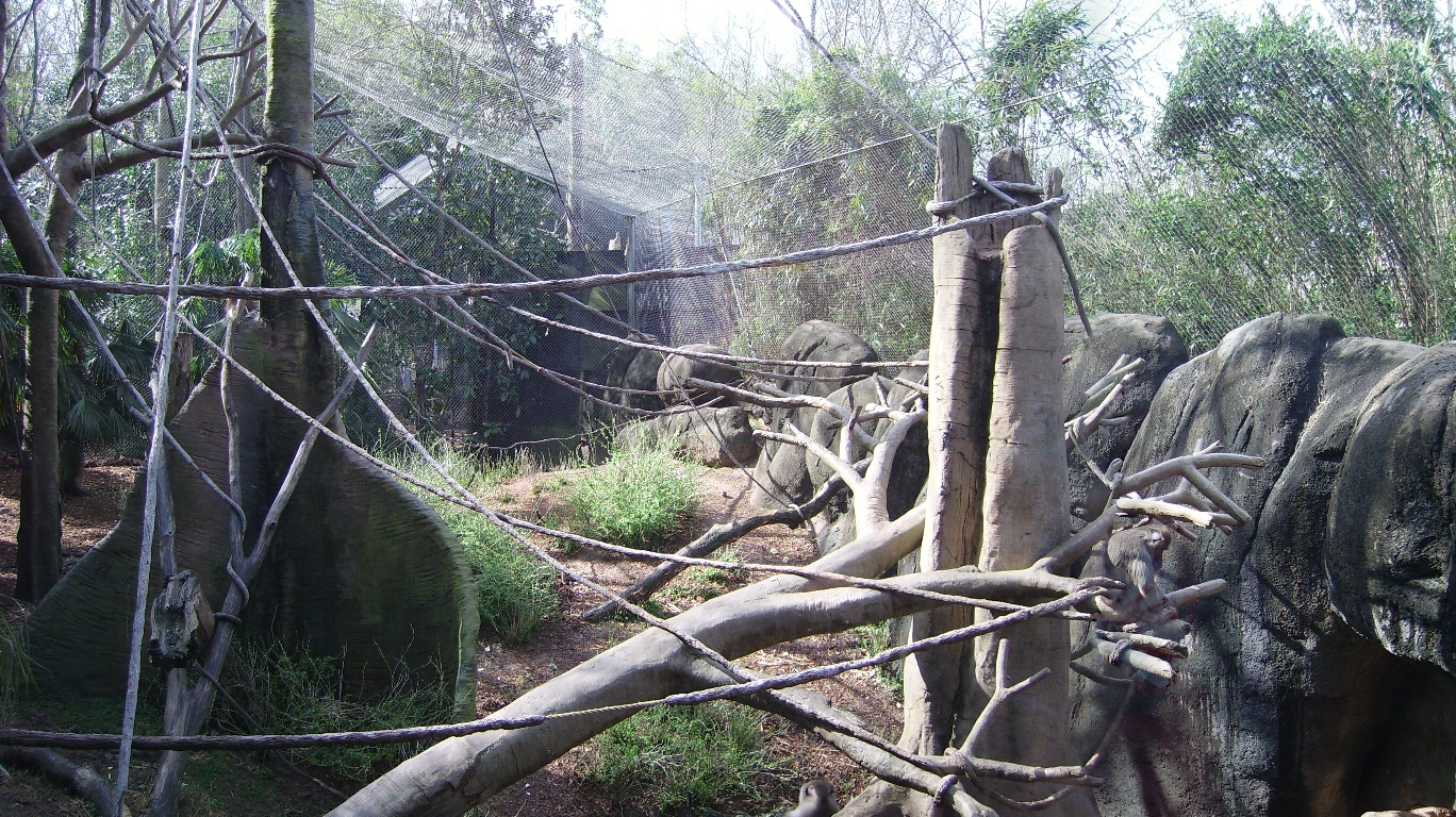 Drill Enclosure - African Rain Forest