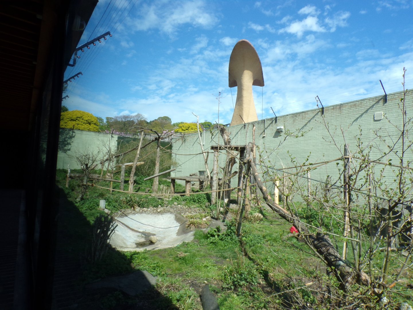 Drill enclosure and penguin bridge 20.4.25