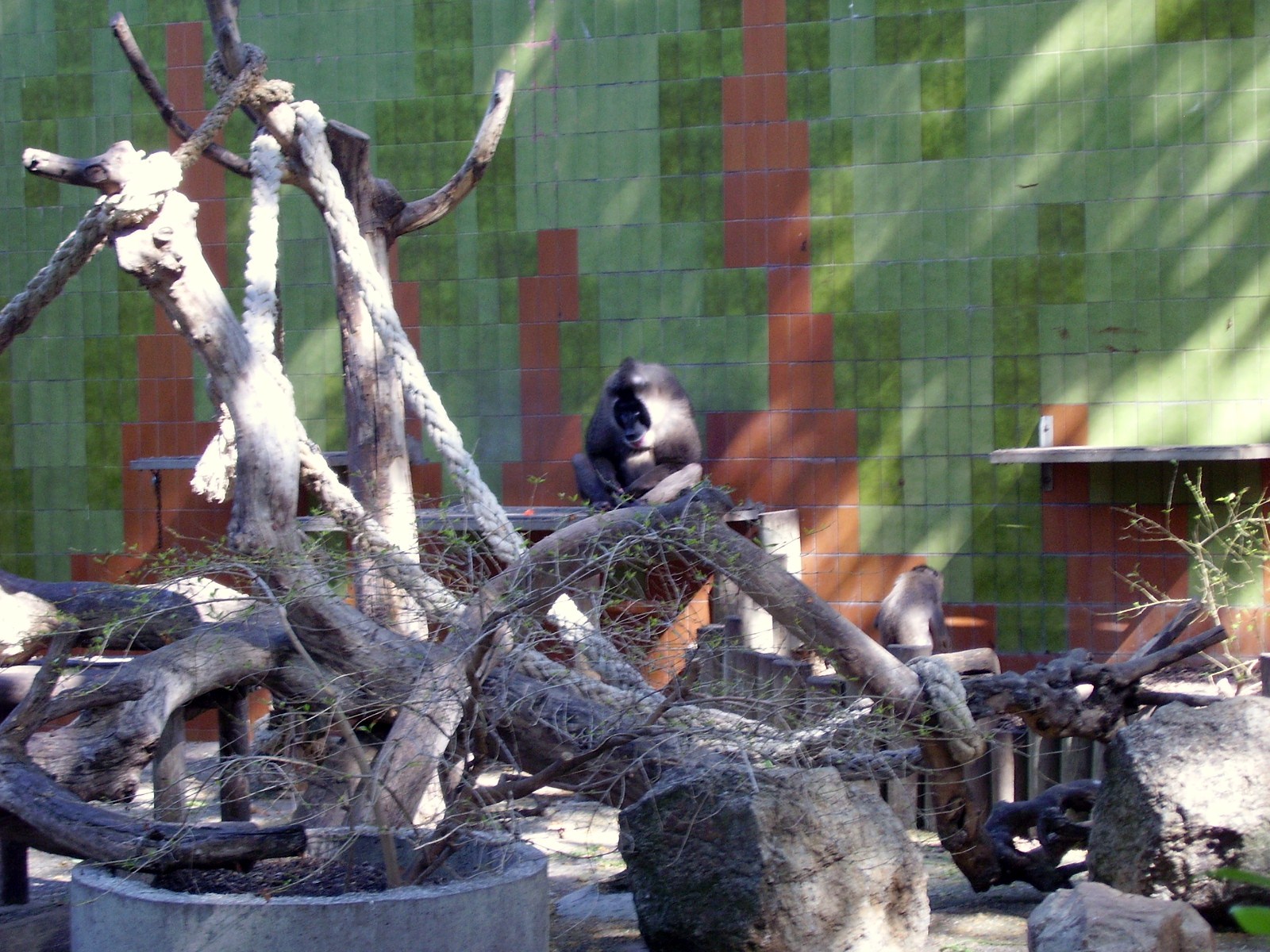 Drill Exhibit - 2008