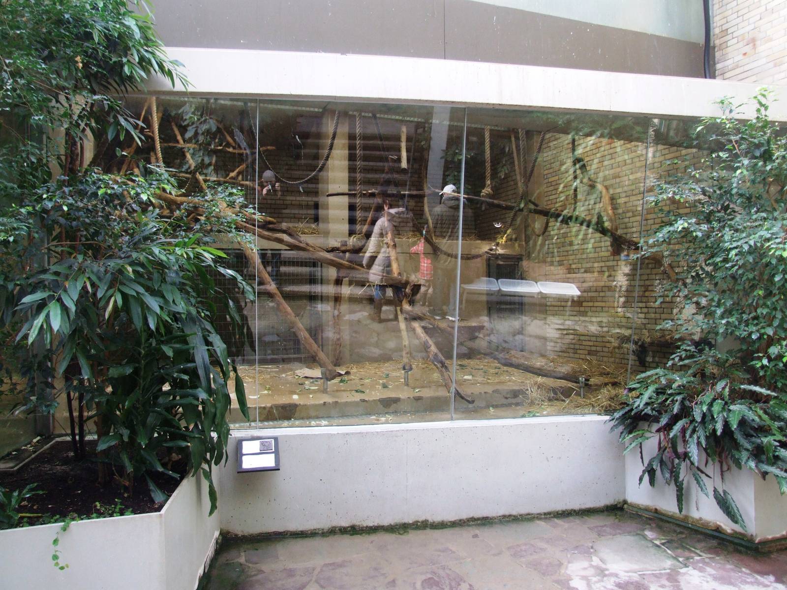 Drill Exhibit at Hannover, 23/03/13