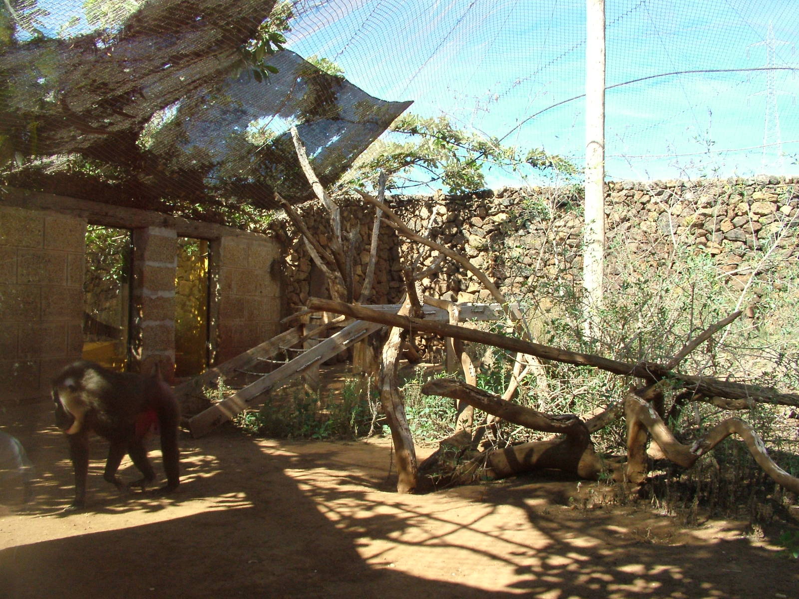 Drill Exhibit at Monkey Park, 09/11/10