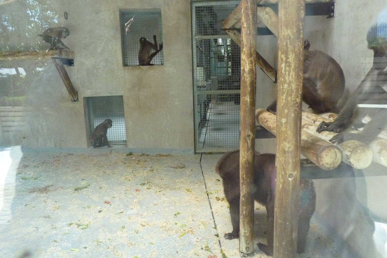 Drill house, 17 June 2015