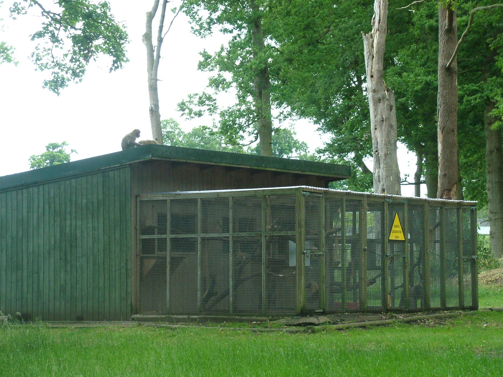 Drill housing at Woburn 20/06/09