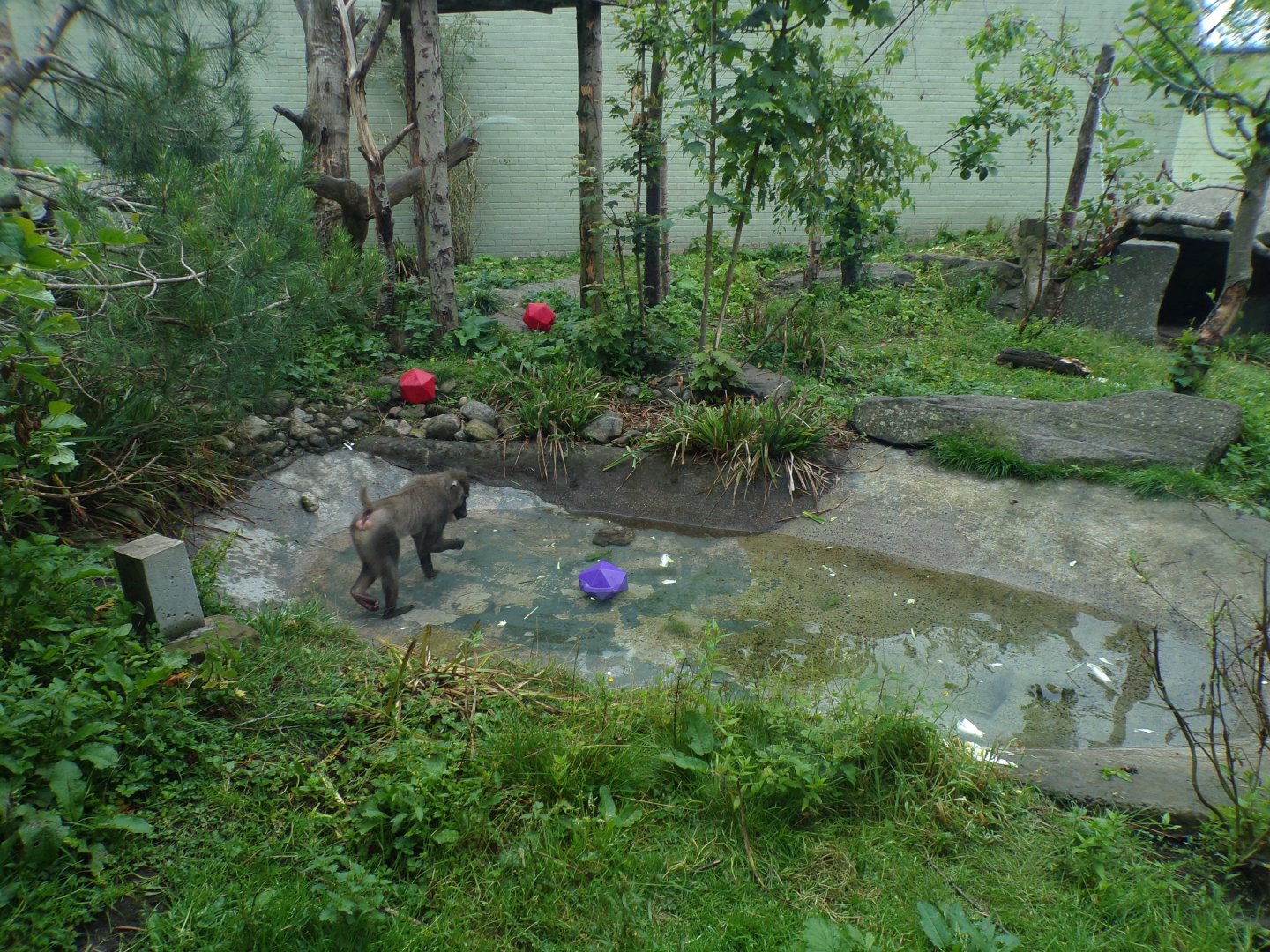 Drill in the water 16.7.24