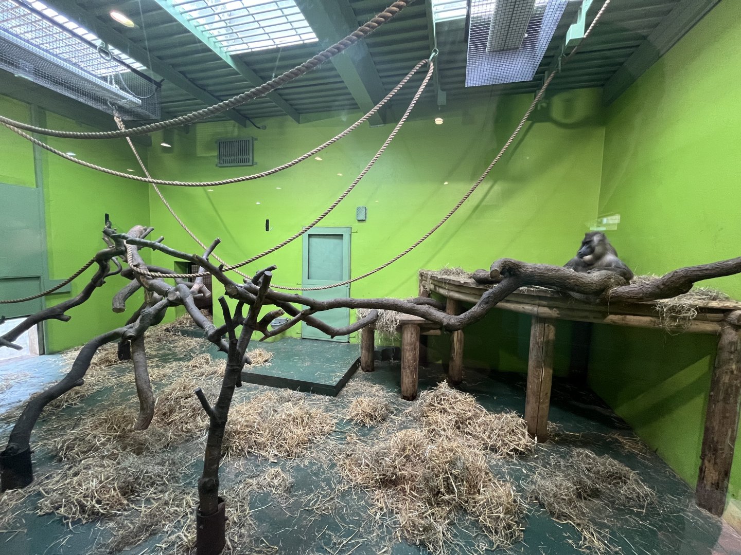 Drill indoors (0.5 version) 13.4.24