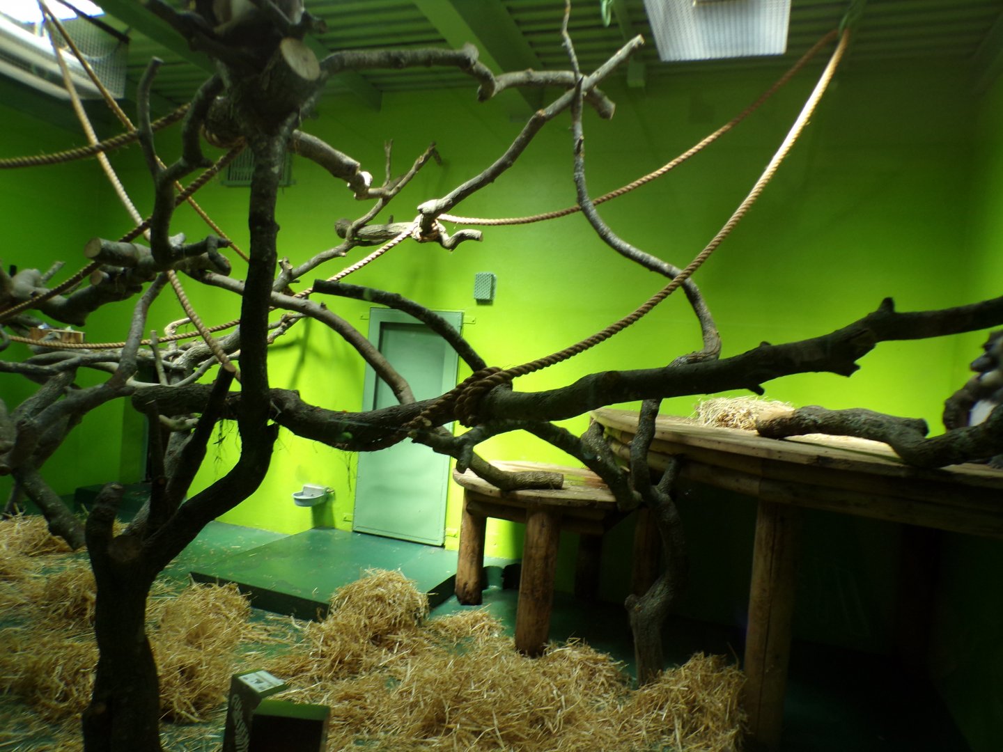 Drill indoors 17.7.23