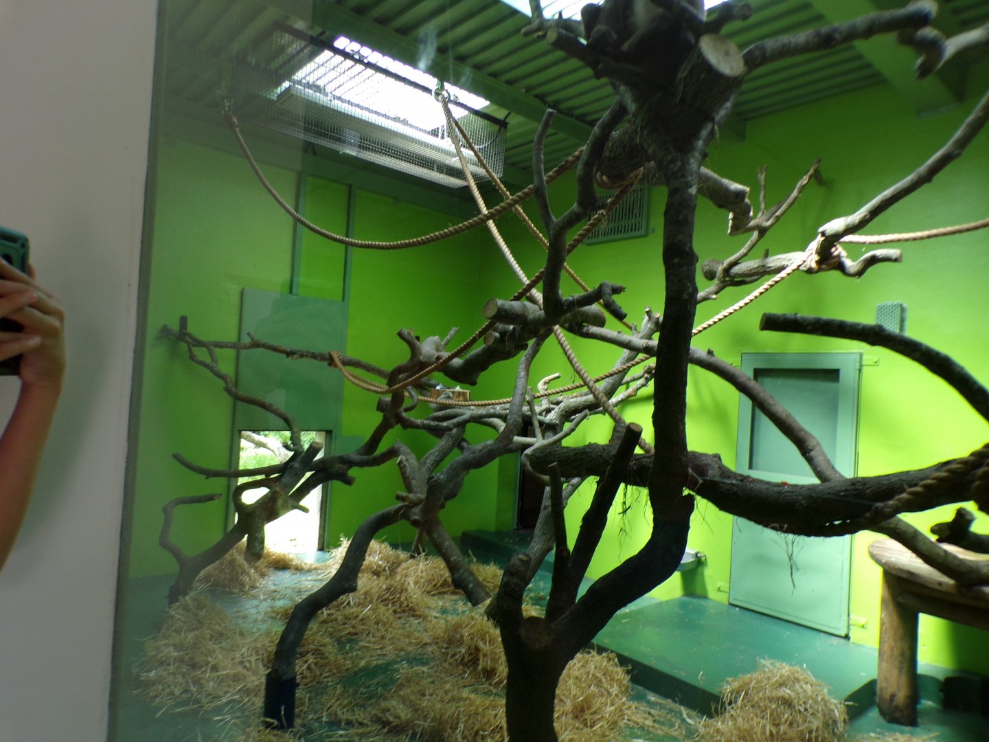 Drill indoors 17.7.23