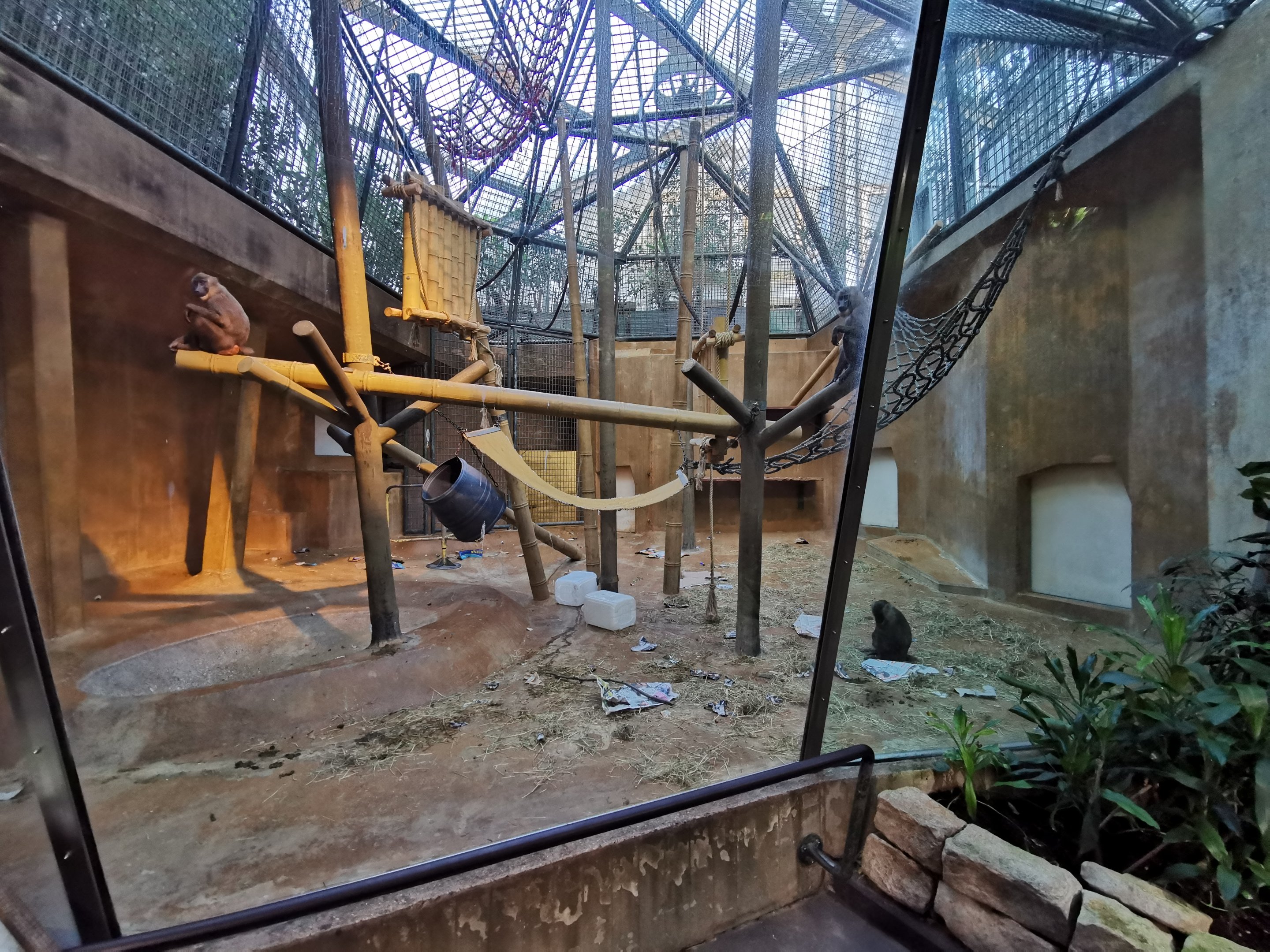 Drill indoors - Afi mountain