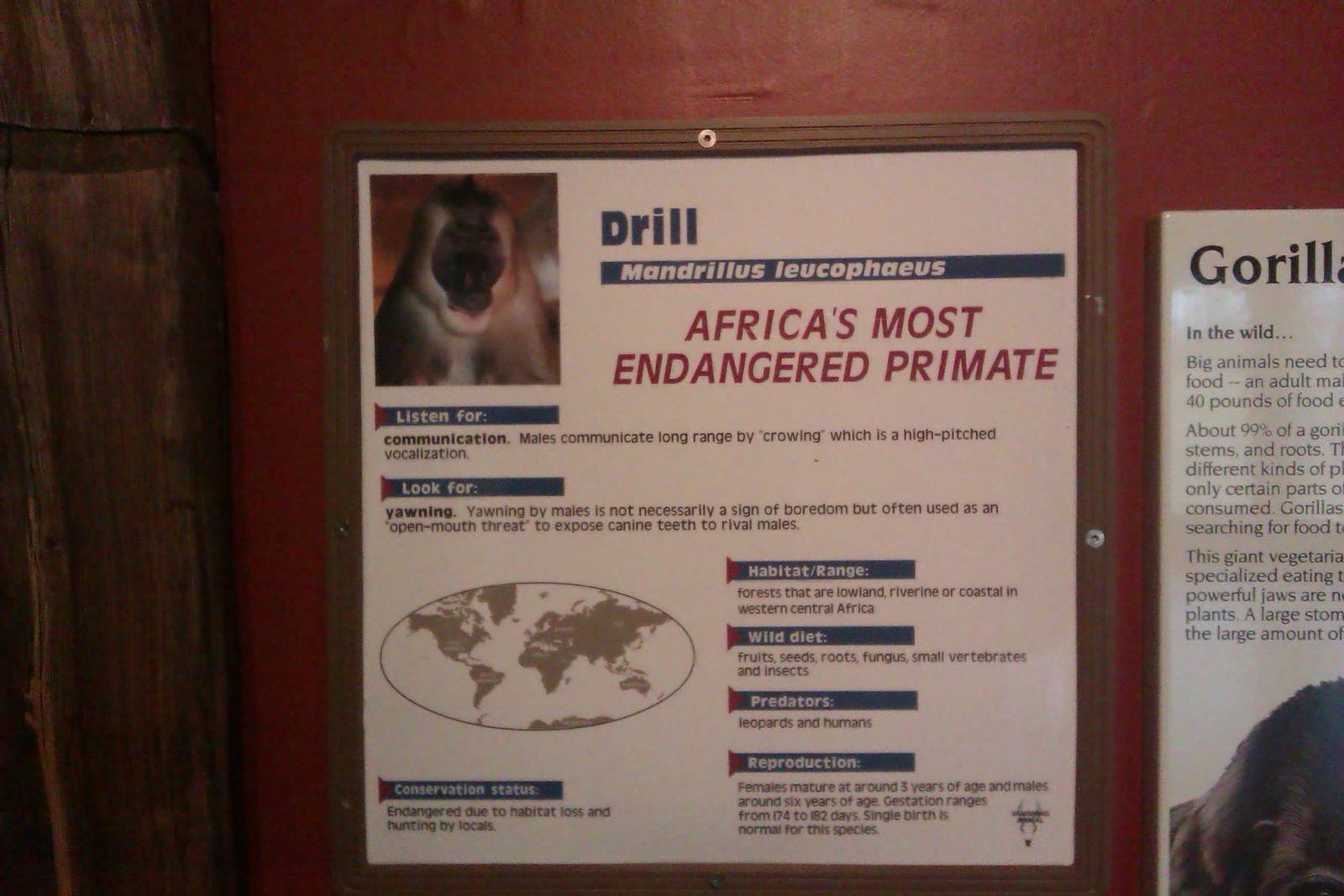 Drill Monkey Sign